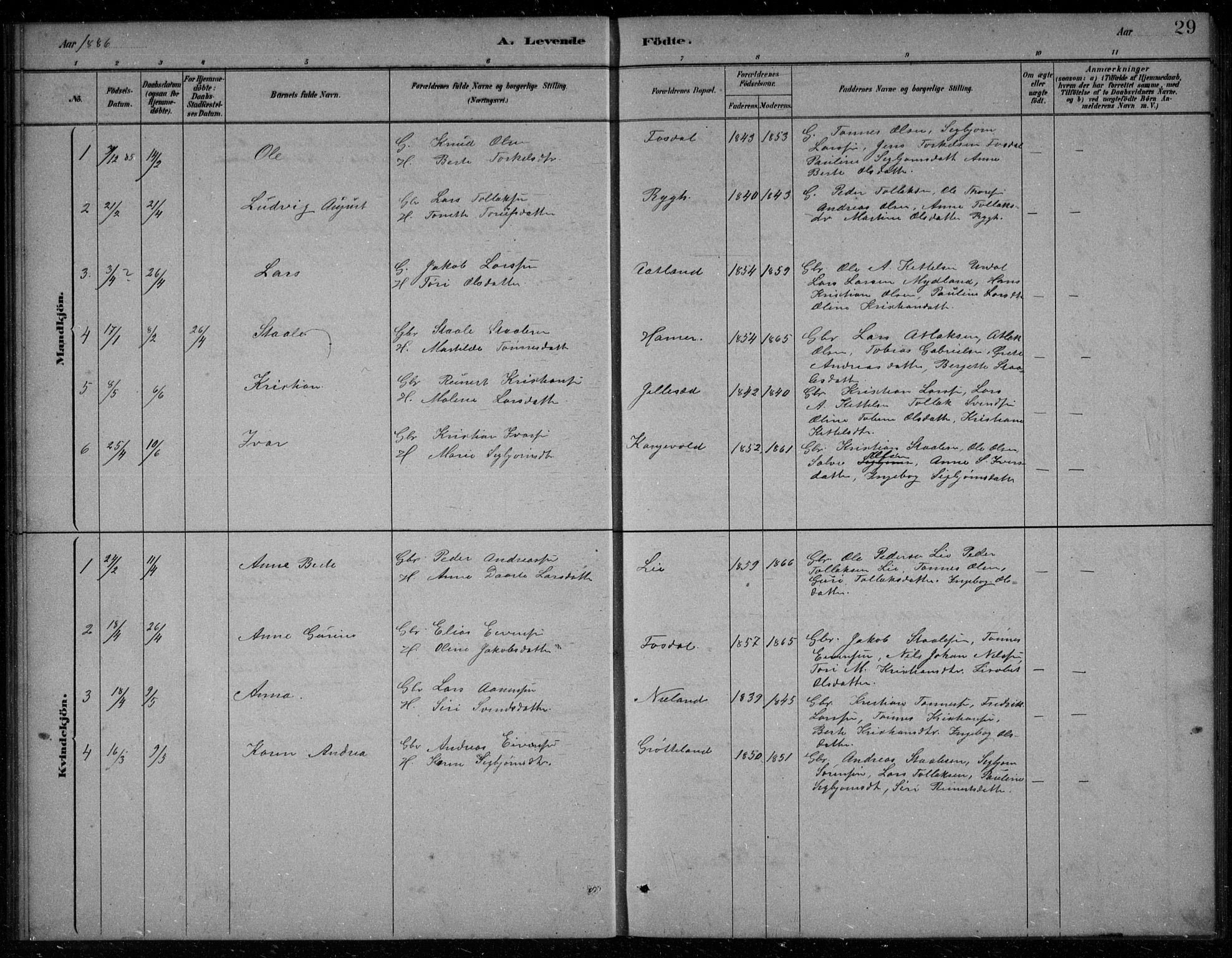 Bakke sokneprestkontor, AV/SAK-1111-0002/F/Fb/Fbb/L0003: Parish register (copy) no. B 3, 1878-1896, p. 29