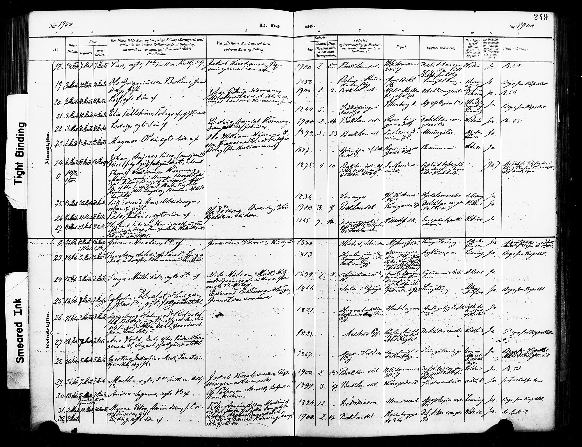 Ministerialprotokoller, klokkerbøker og fødselsregistre - Sør-Trøndelag, SAT/A-1456/604/L0198: Parish register (official) no. 604A19, 1893-1900, p. 249