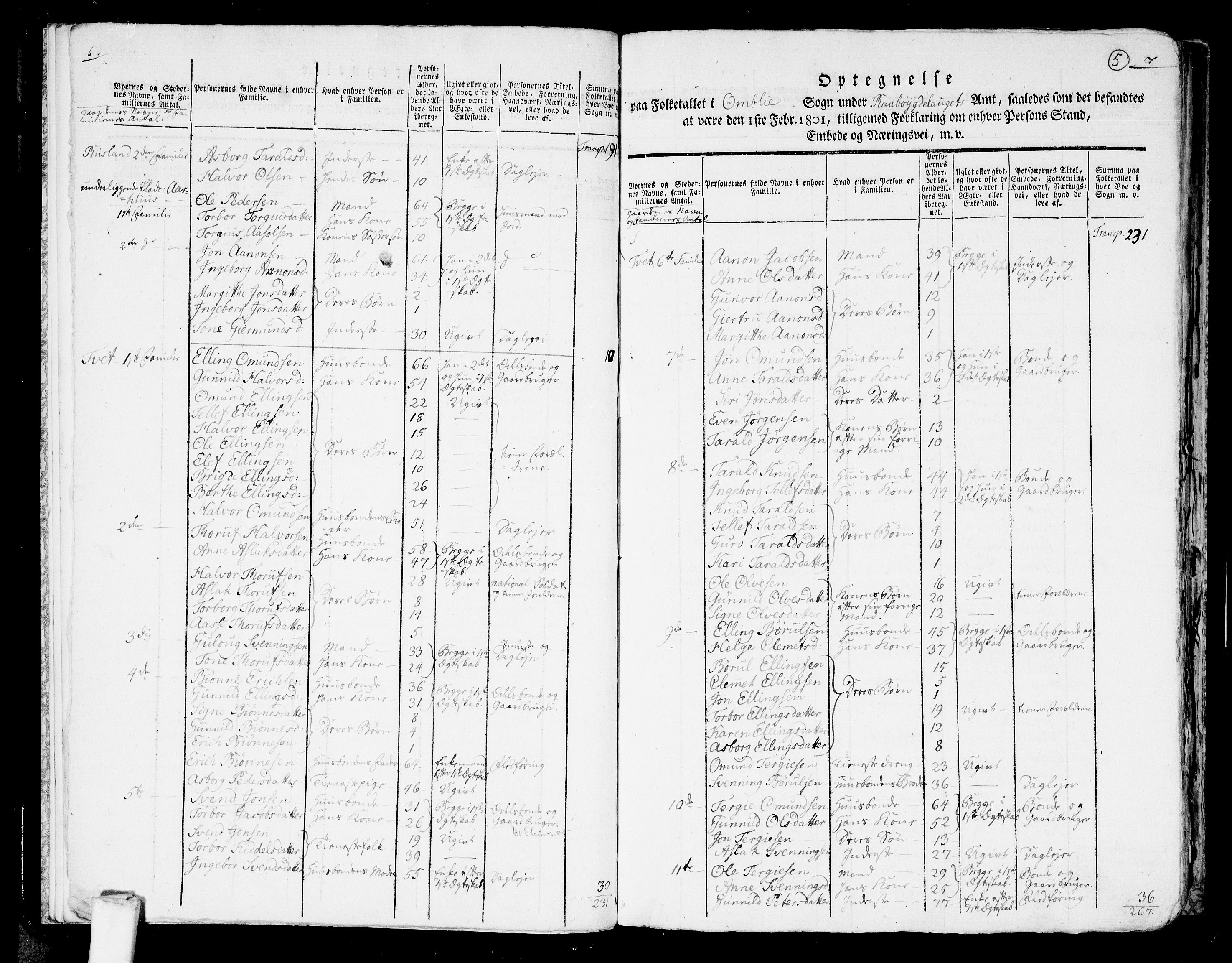 RA, 1801 census for 0929P Åmli, 1801, p. 4b-5a