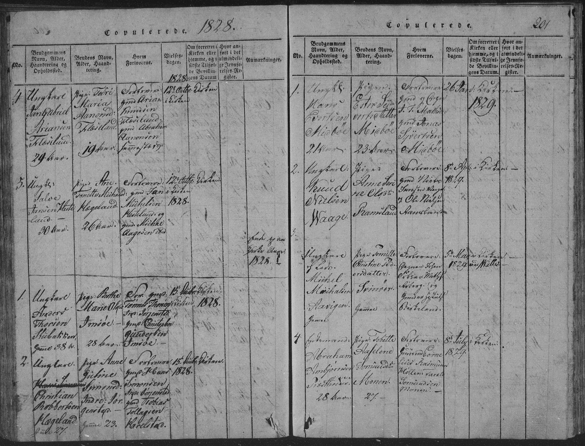 Sør-Audnedal sokneprestkontor, SAK/1111-0039/F/Fb/Fba/L0001: Parish register (copy) no. B 1, 1815-1850, p. 201