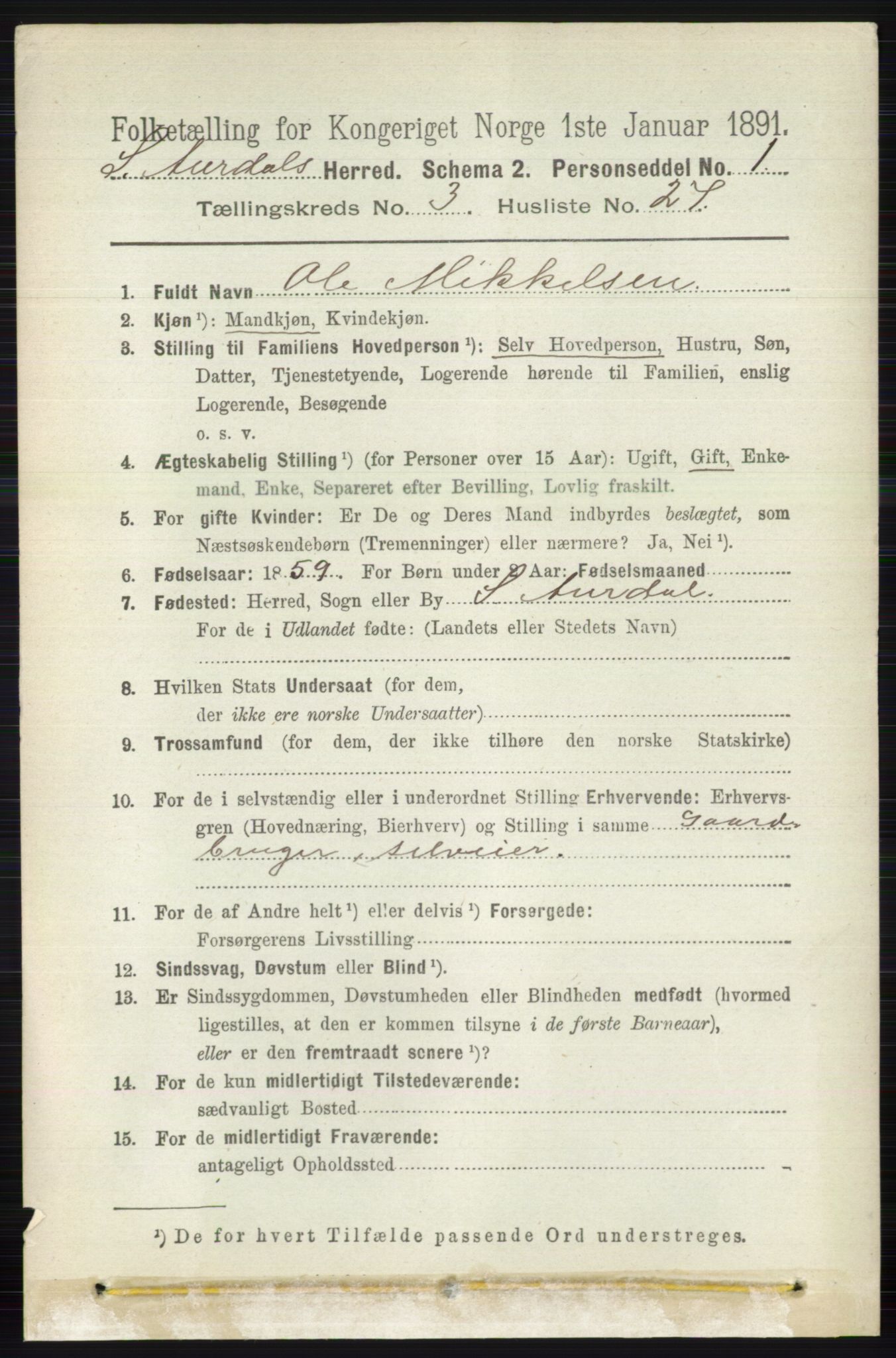 RA, 1891 census for 0540 Sør-Aurdal, 1891, p. 1829