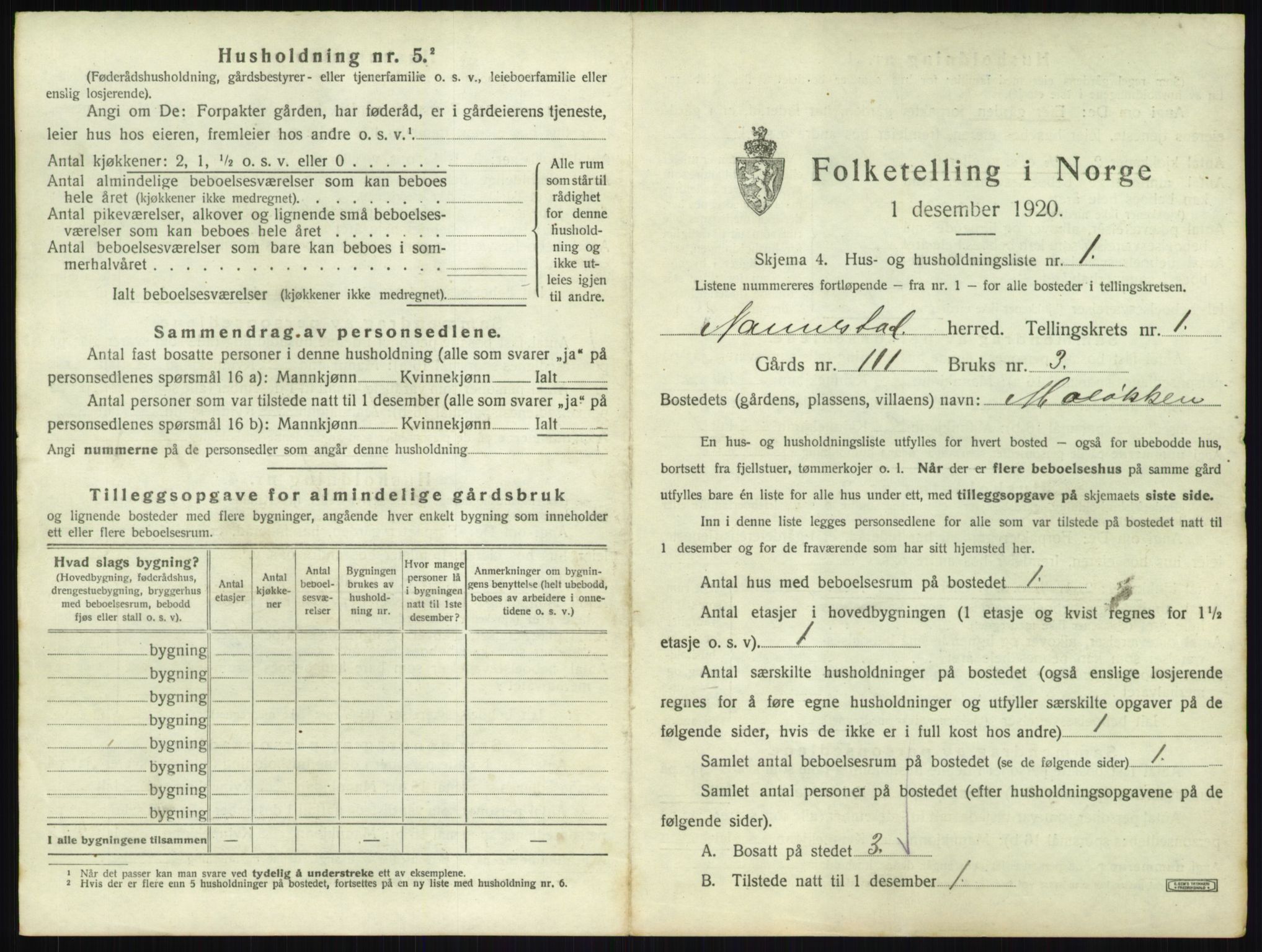 SAO, 1920 census for Nannestad, 1920, p. 48