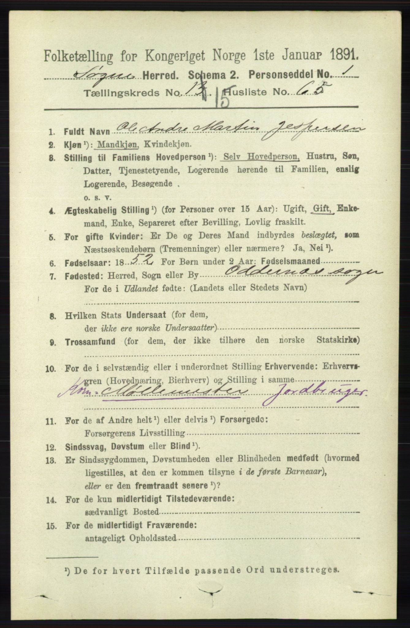 RA, 1891 census for 1018 Søgne, 1891, p. 4212