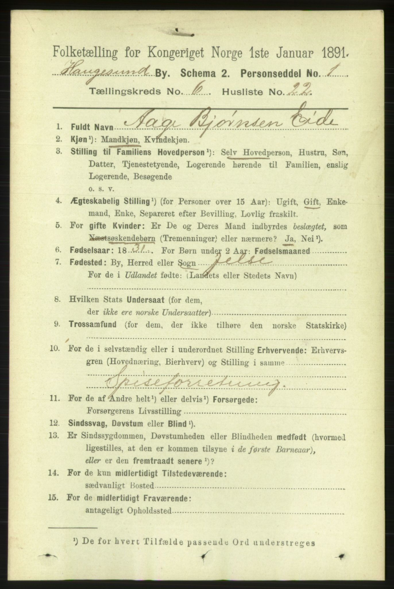 RA, 1891 census for 1106 Haugesund, 1891, p. 2804