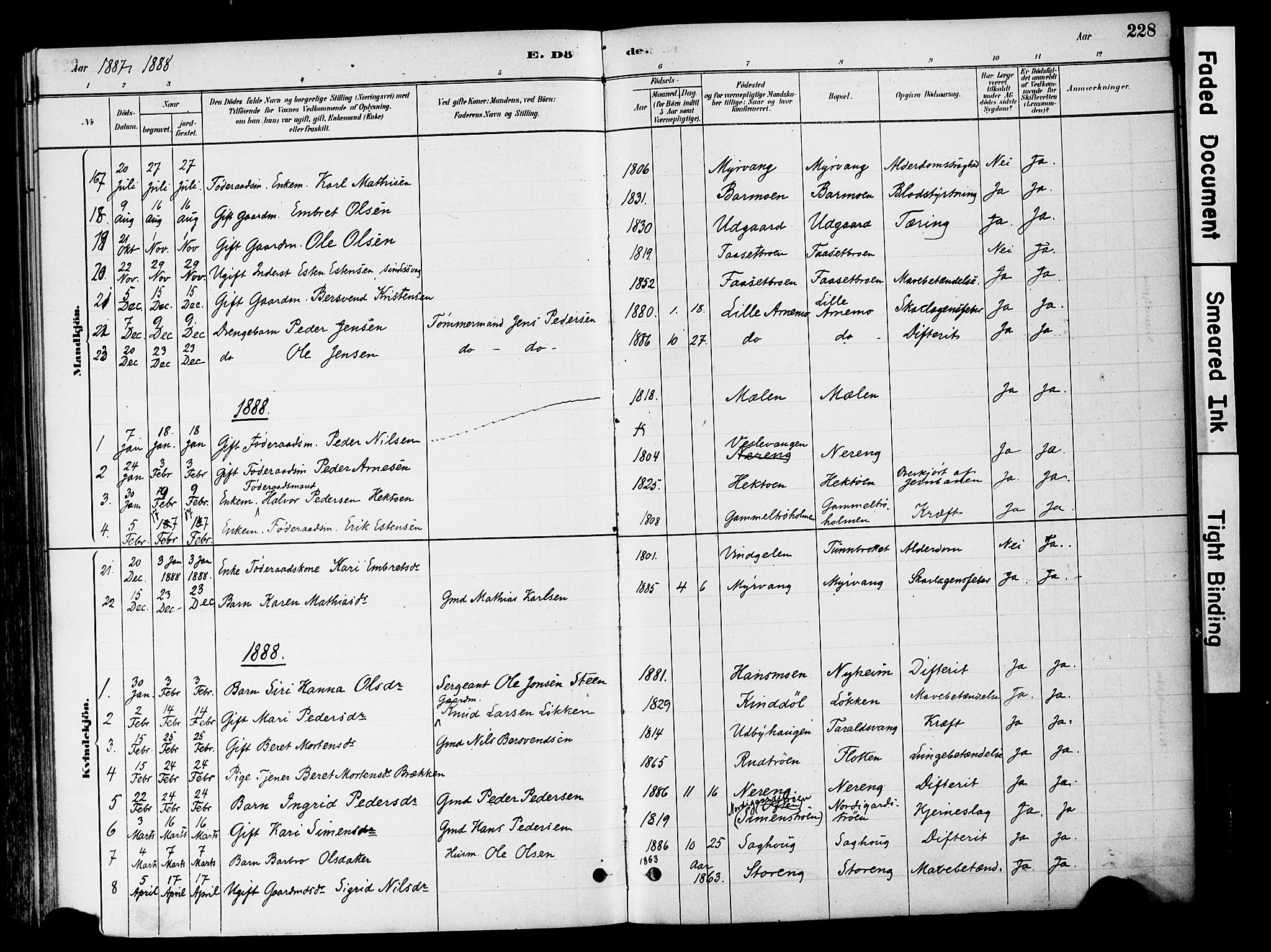 Tynset prestekontor, SAH/PREST-058/H/Ha/Haa/L0022: Parish register (official) no. 22, 1880-1899, p. 228