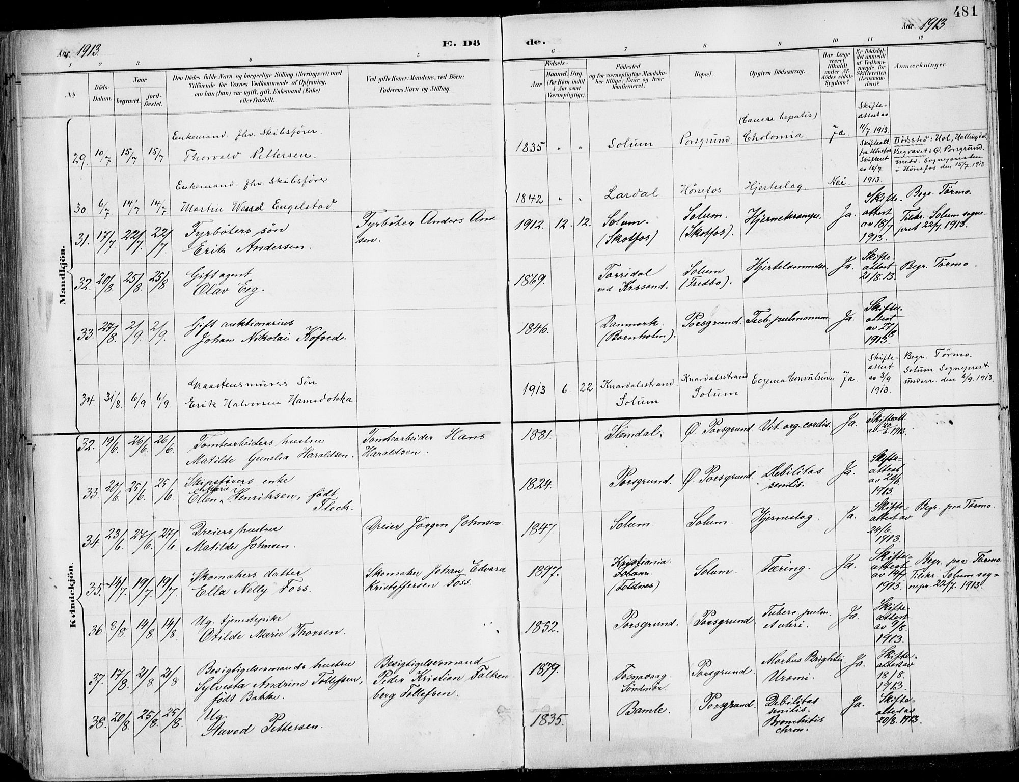 Porsgrunn kirkebøker , AV/SAKO-A-104/F/Fa/L0011: Parish register (official) no. 11, 1895-1919, p. 481