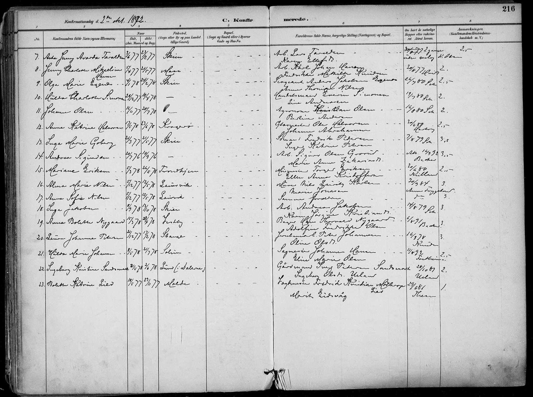Skien kirkebøker, SAKO/A-302/F/Fa/L0010: Parish register (official) no. 10, 1891-1899, p. 216