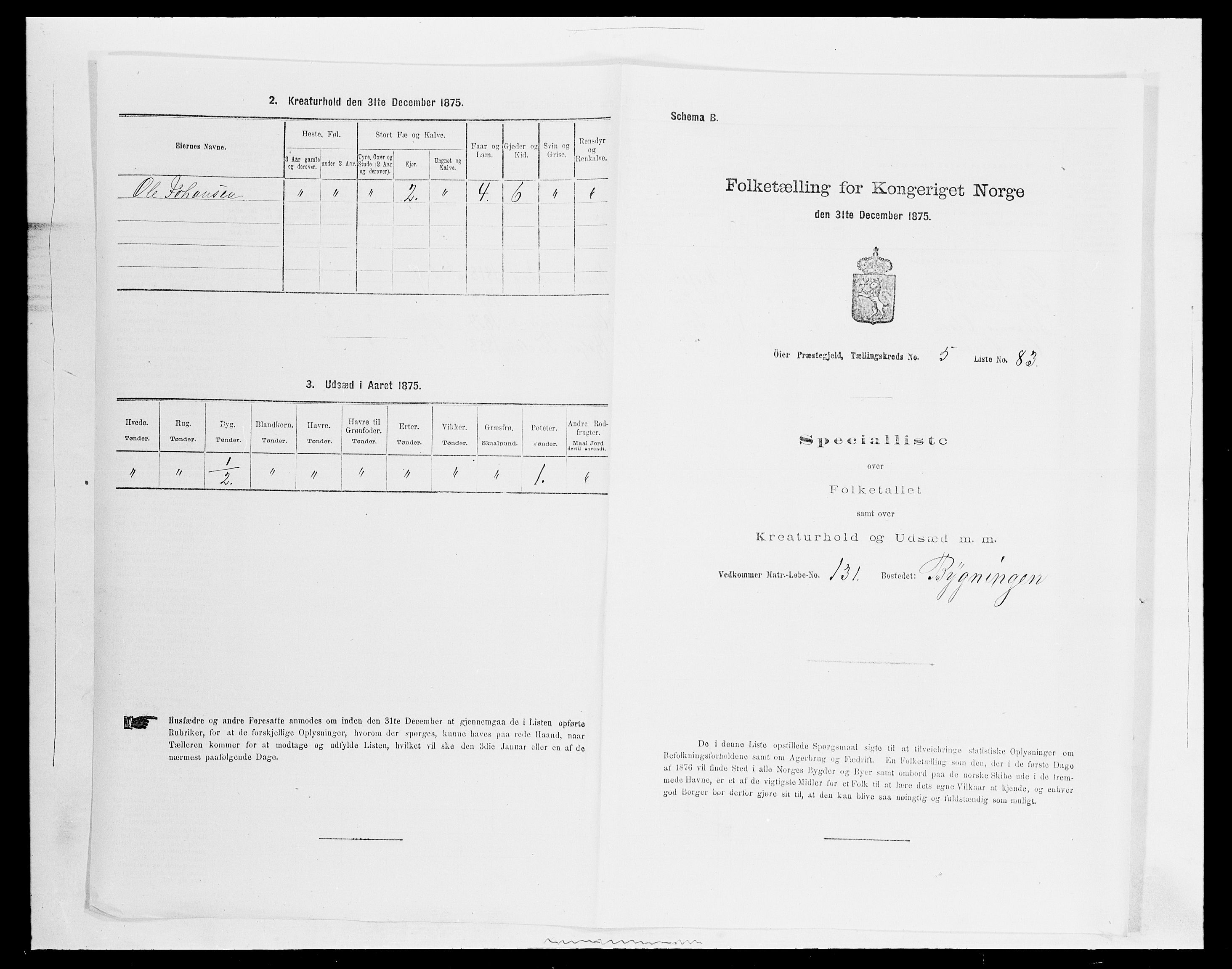 SAH, 1875 census for 0521P Øyer, 1875, p. 1120