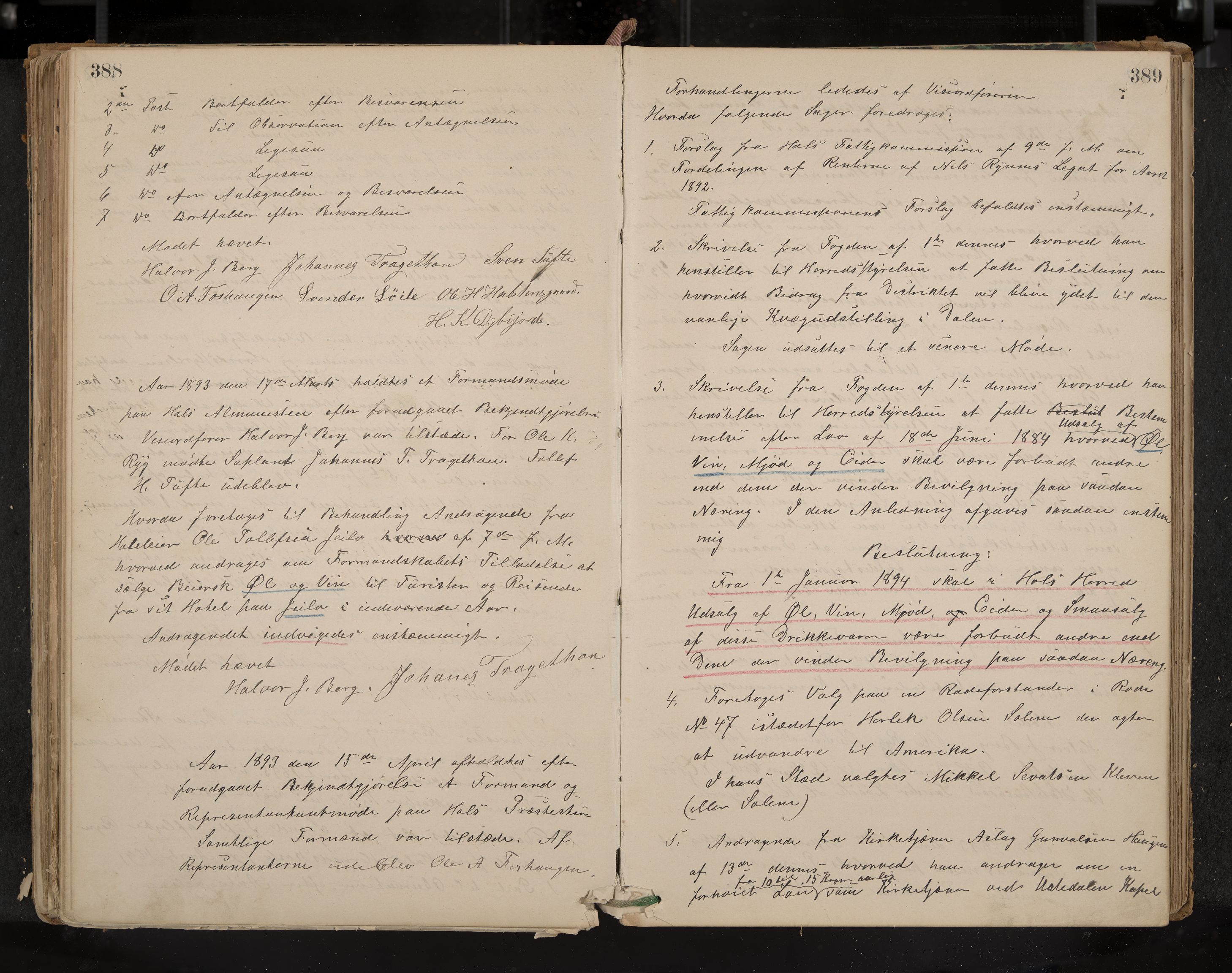 Hol formannskap og sentraladministrasjon, IKAK/0620021-1/A/L0001: Møtebok, 1877-1893, p. 388-389