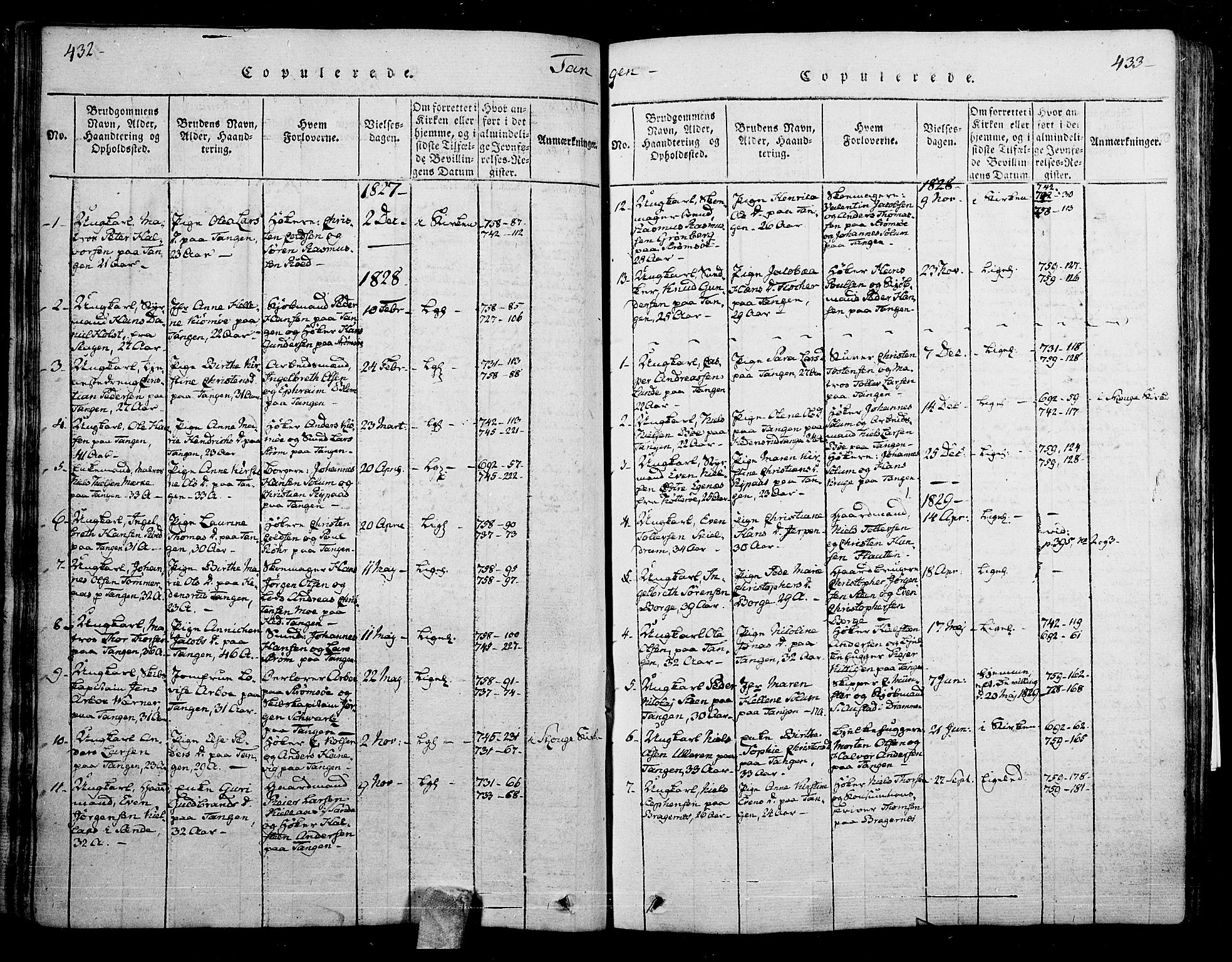 Skoger kirkebøker, SAKO/A-59/F/Fa/L0002: Parish register (official) no. I 2 /2, 1814-1842, p. 432-433