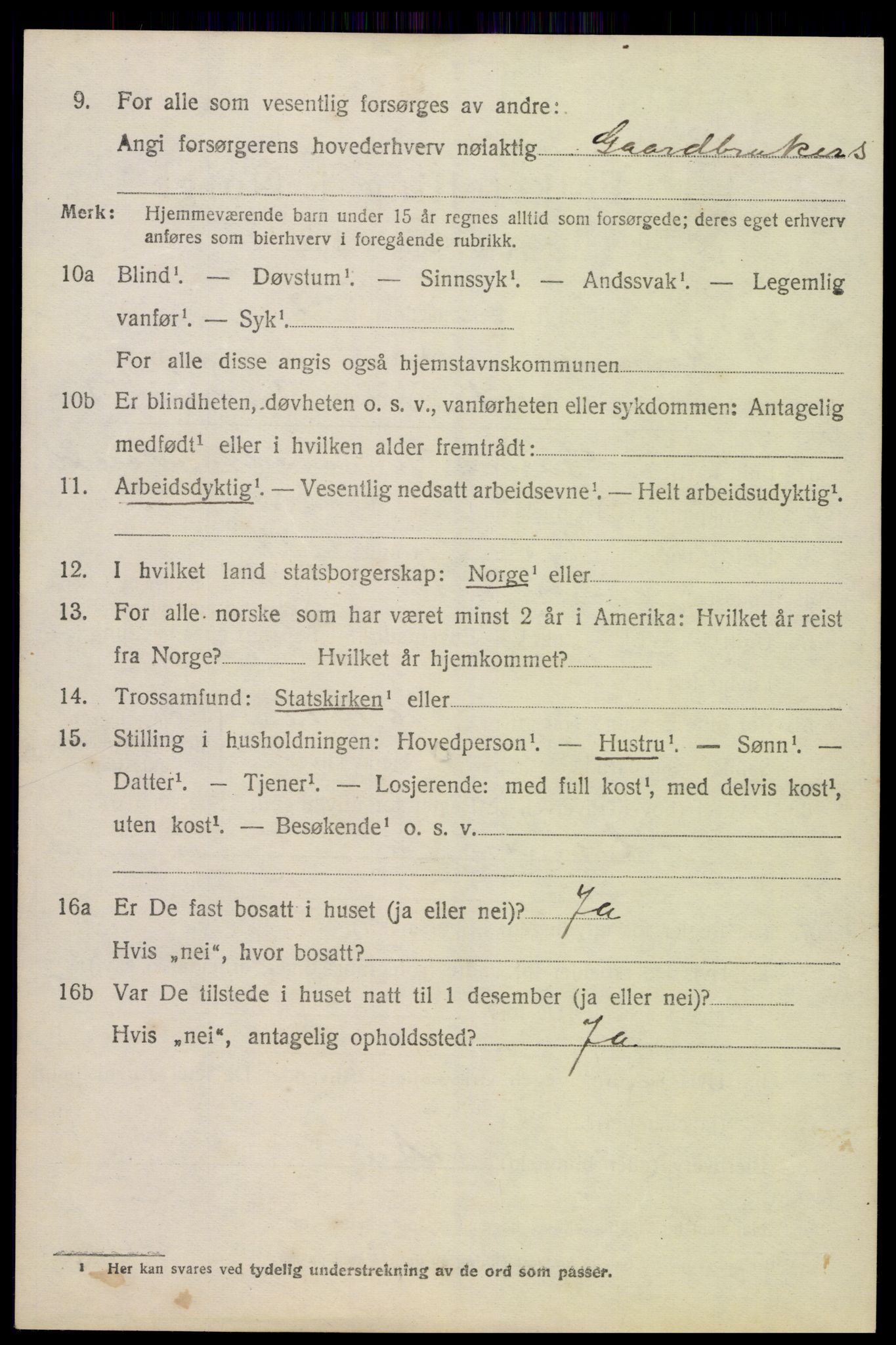 SAK, 1920 census for Hornnes, 1920, p. 704