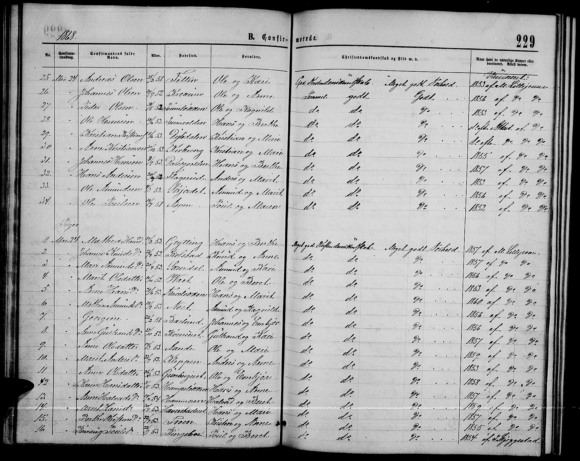 Sør-Fron prestekontor, AV/SAH-PREST-010/H/Ha/Hab/L0002: Parish register (copy) no. 2, 1864-1883, p. 229