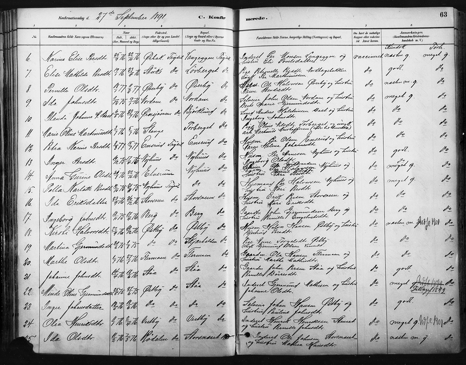 Trysil prestekontor, AV/SAH-PREST-046/H/Ha/Haa/L0009: Parish register (official) no. 9, 1881-1897, p. 63