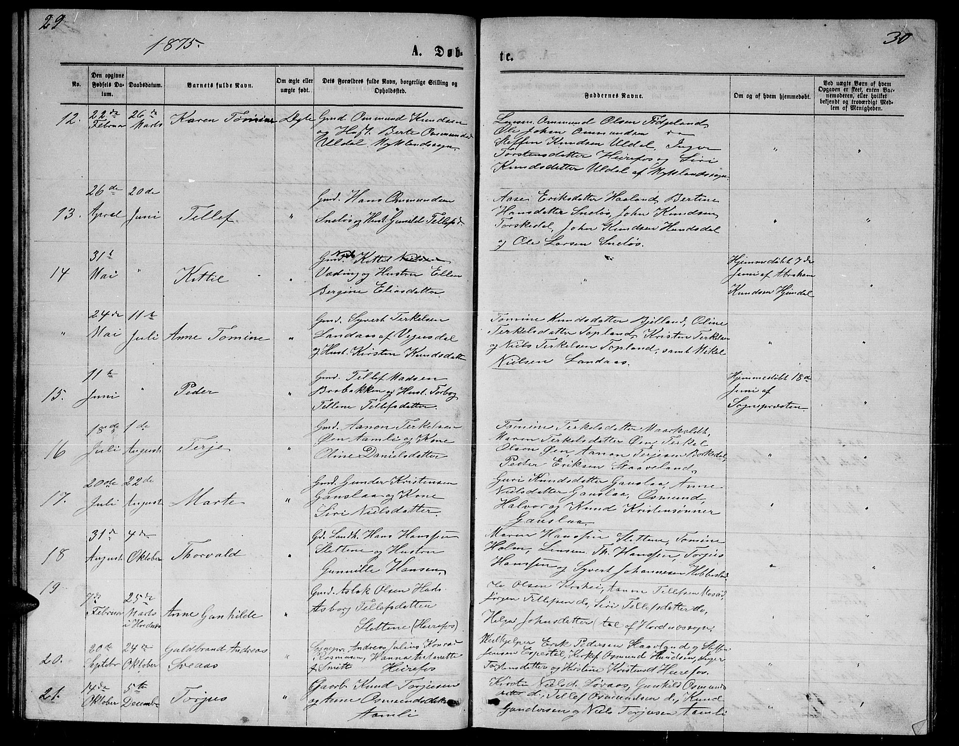 Herefoss sokneprestkontor, SAK/1111-0019/F/Fb/Fba/L0002: Parish register (copy) no. B 2, 1868-1886, p. 29-30