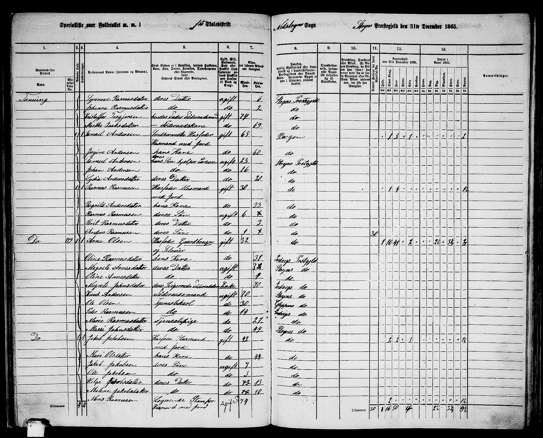 RA, 1865 census for Stryn, 1865, p. 59