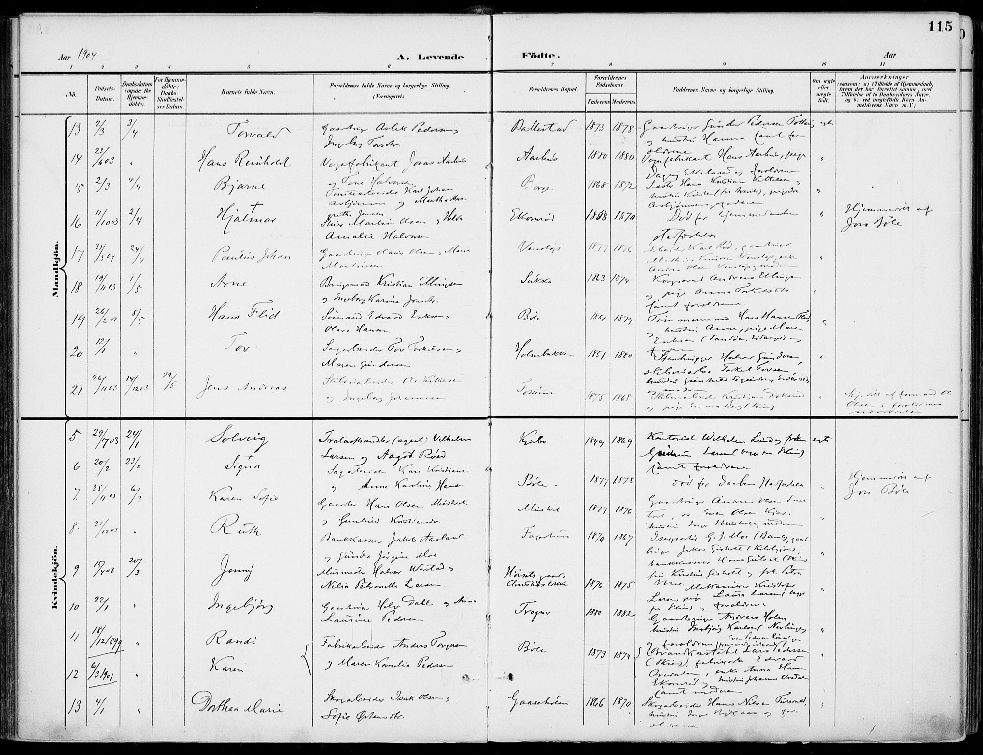 Gjerpen kirkebøker, SAKO/A-265/F/Fa/L0011: Parish register (official) no. I 11, 1896-1904, p. 115