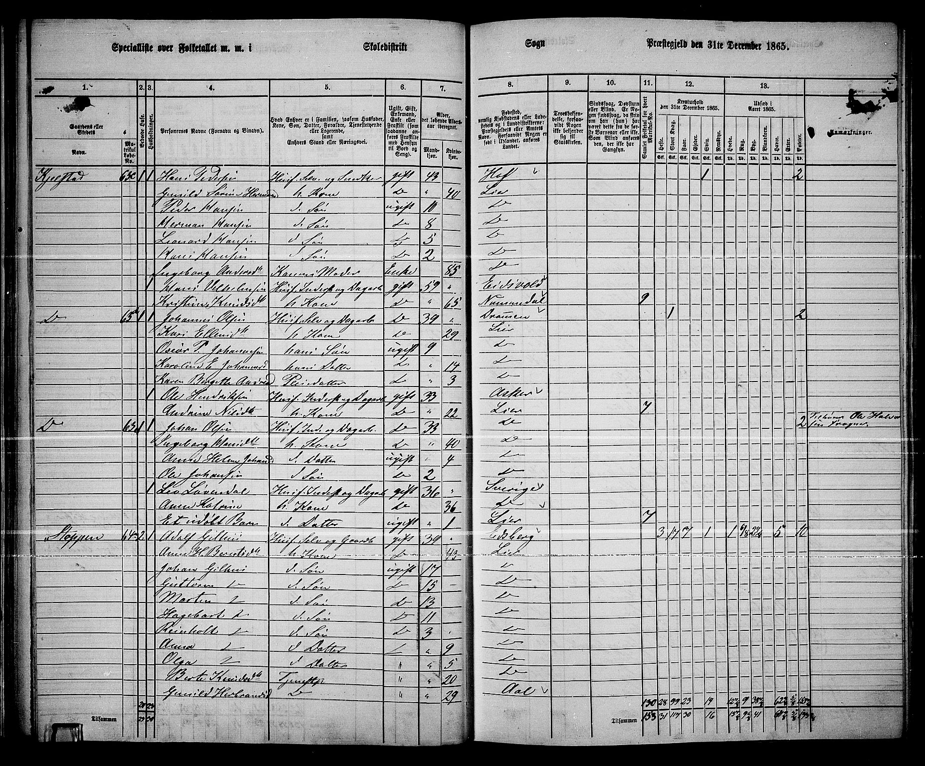 RA, 1865 census for Lier, 1865, p. 45