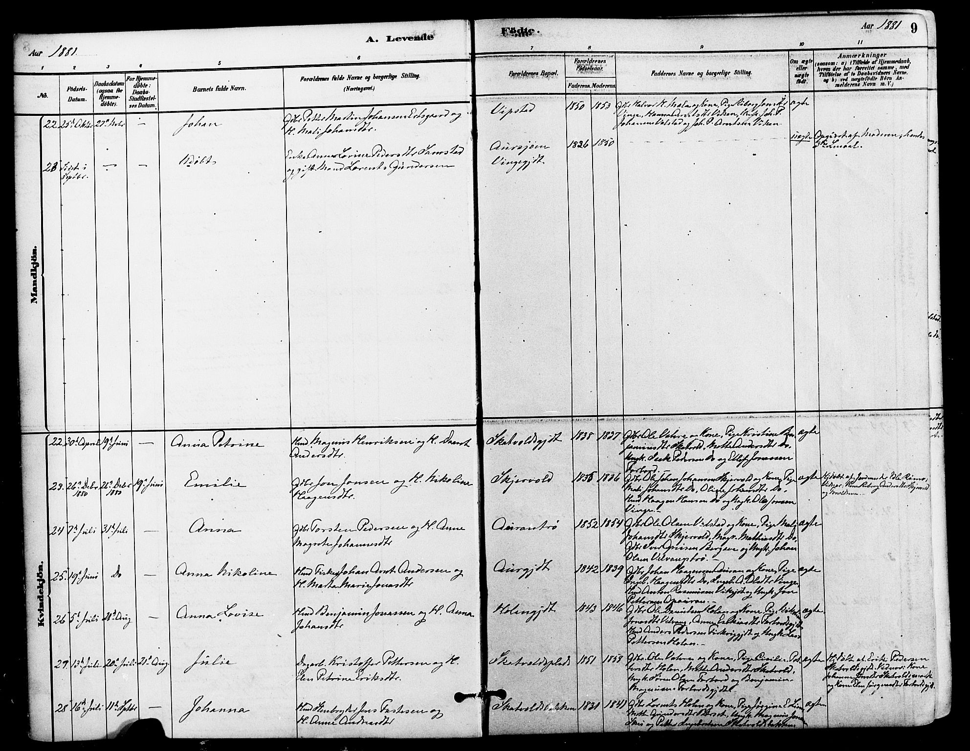 Ministerialprotokoller, klokkerbøker og fødselsregistre - Nord-Trøndelag, AV/SAT-A-1458/712/L0100: Parish register (official) no. 712A01, 1880-1900, p. 9