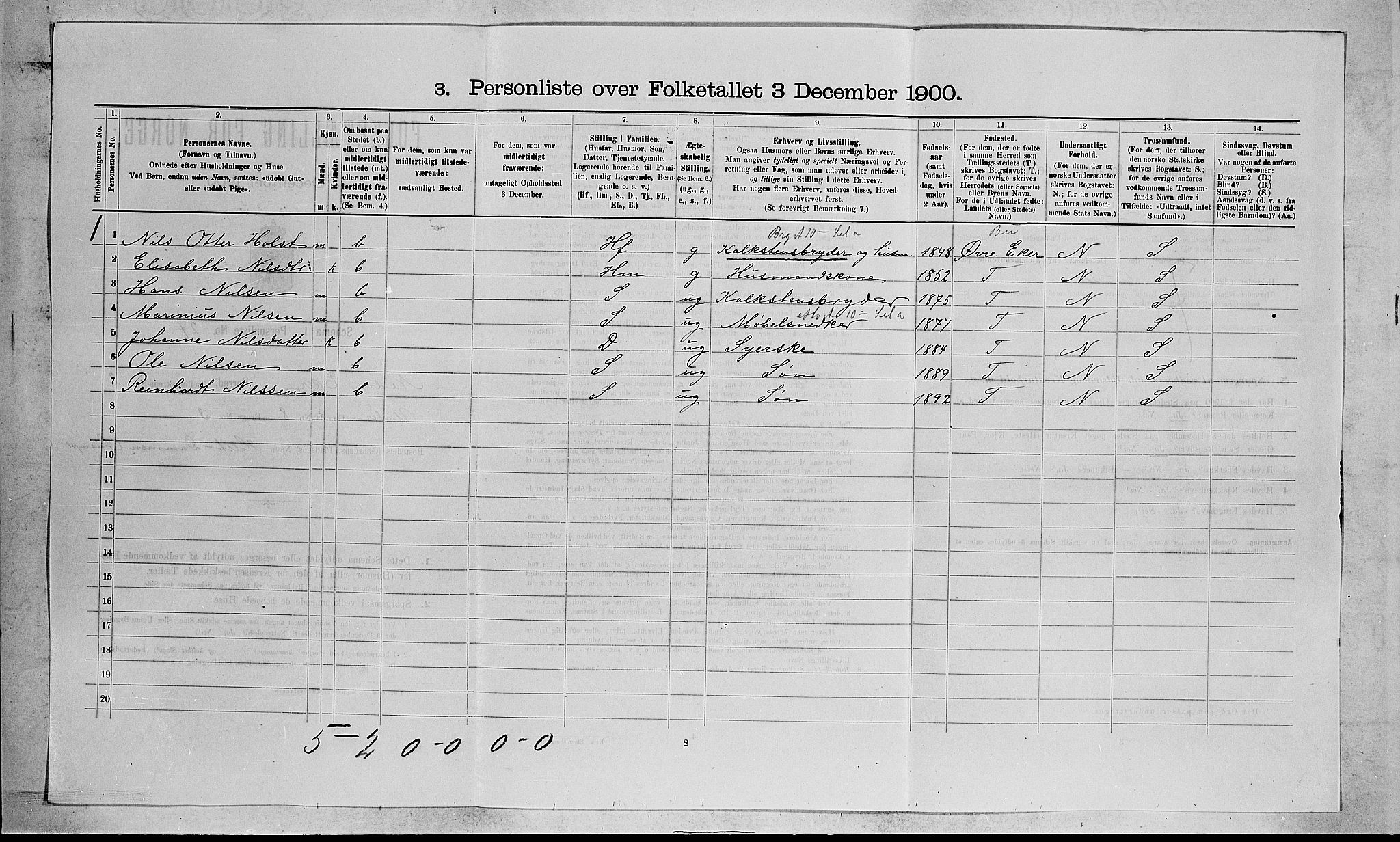 RA, 1900 census for Nedre Eiker, 1900, p. 304