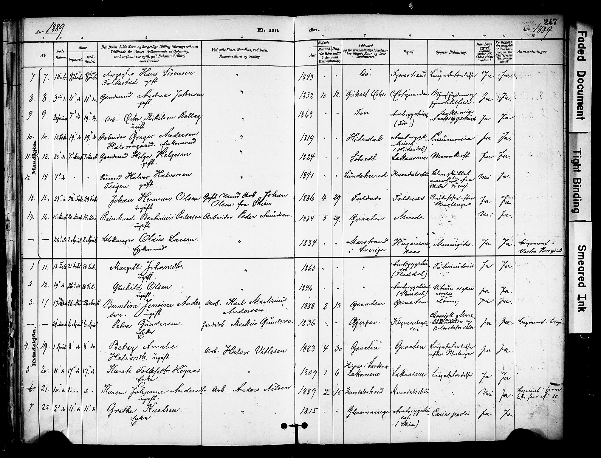 Solum kirkebøker, SAKO/A-306/F/Fa/L0010: Parish register (official) no. I 10, 1888-1898, p. 247