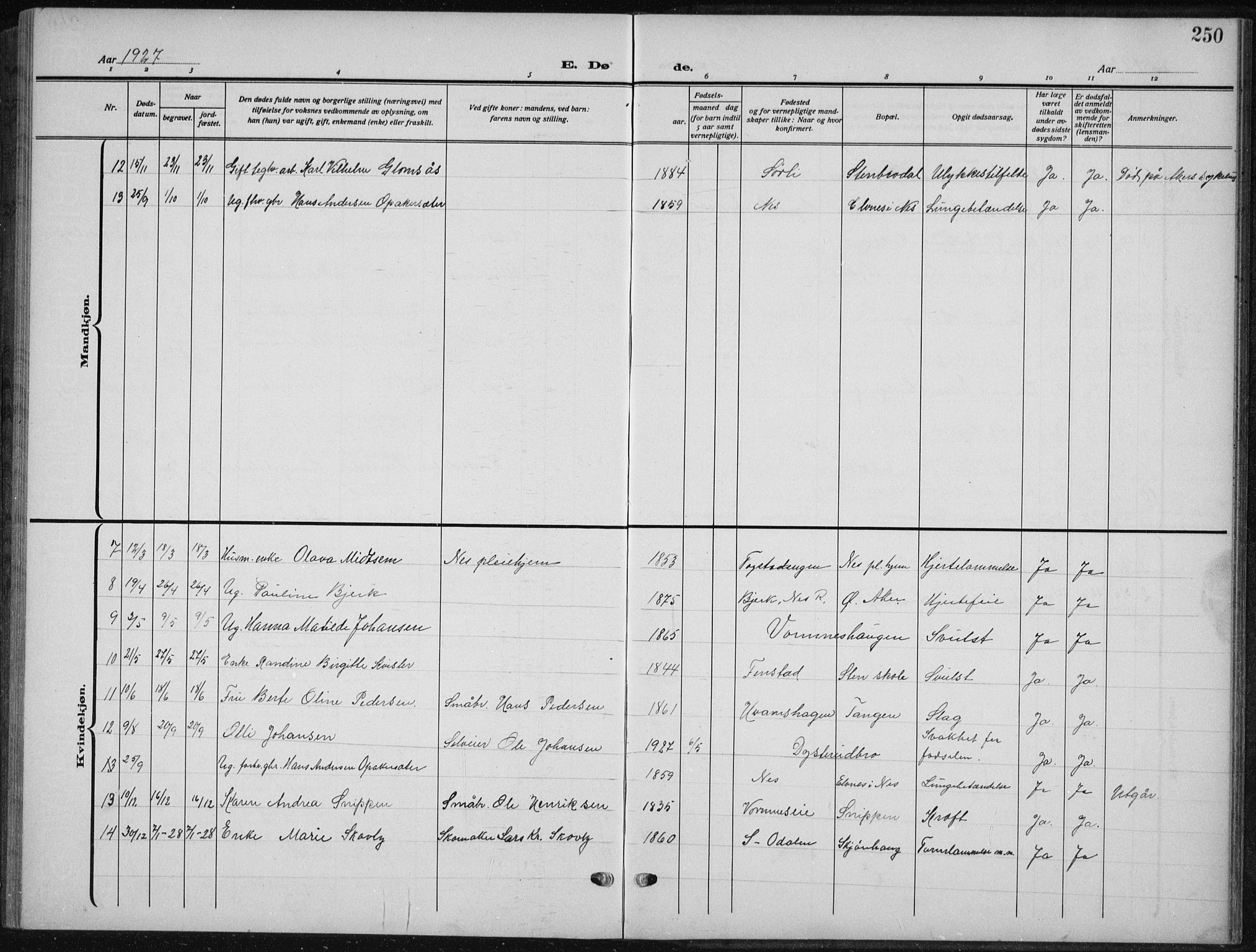 Nes prestekontor Kirkebøker, AV/SAO-A-10410/G/Ga/L0003: Parish register (copy) no. I 3, 1913-1941, p. 250