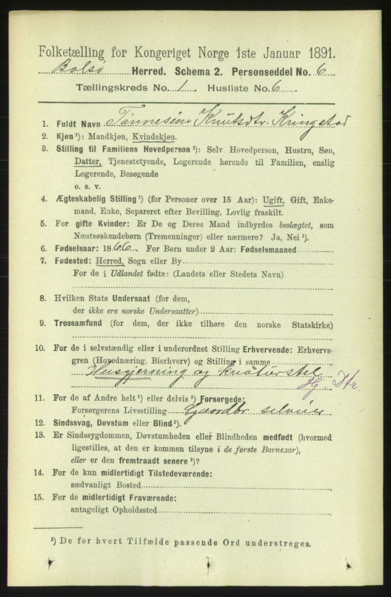 RA, 1891 census for 1544 Bolsøy, 1891, p. 213