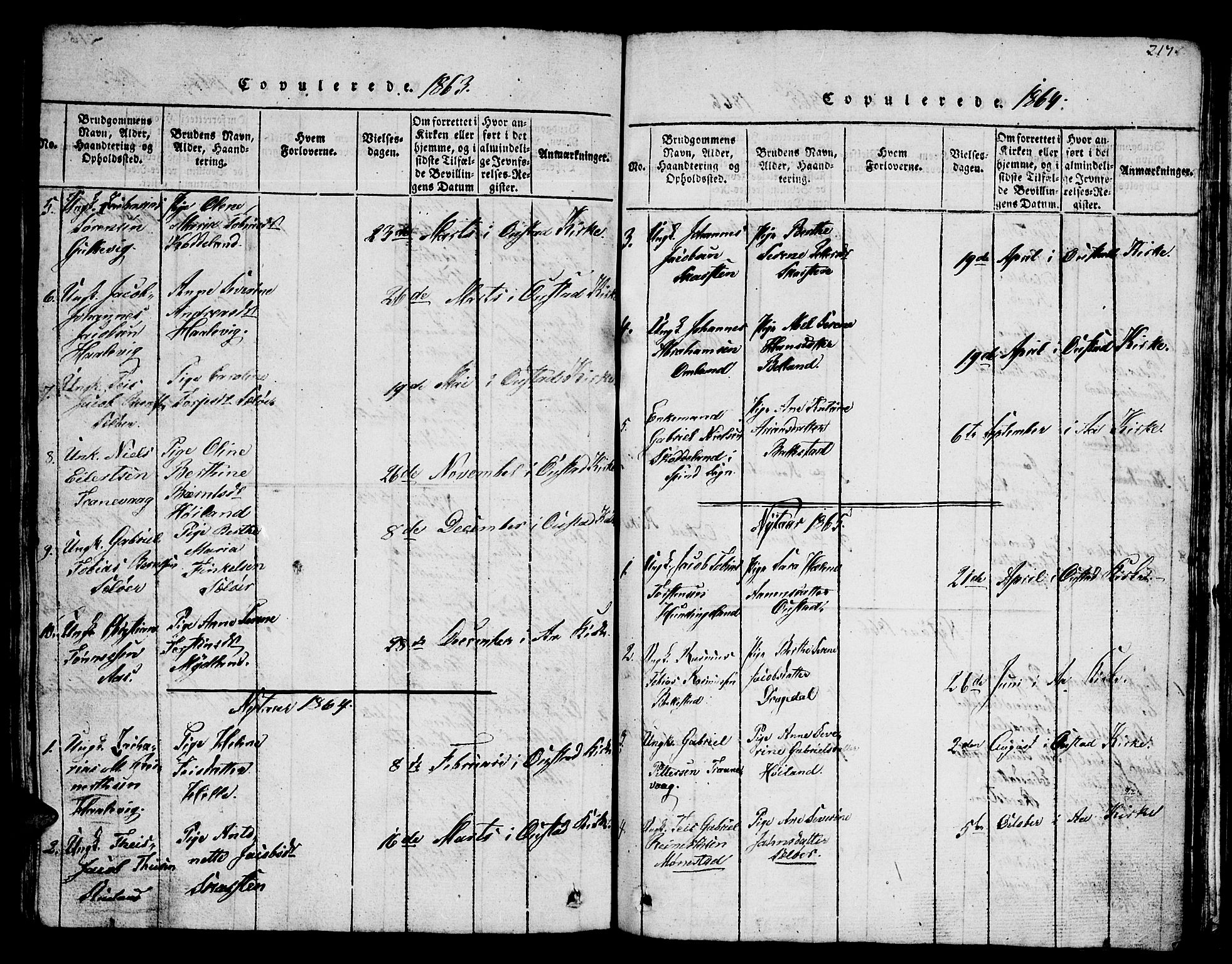 Lyngdal sokneprestkontor, SAK/1111-0029/F/Fb/Fba/L0001: Parish register (copy) no. B 1, 1816-1876, p. 217