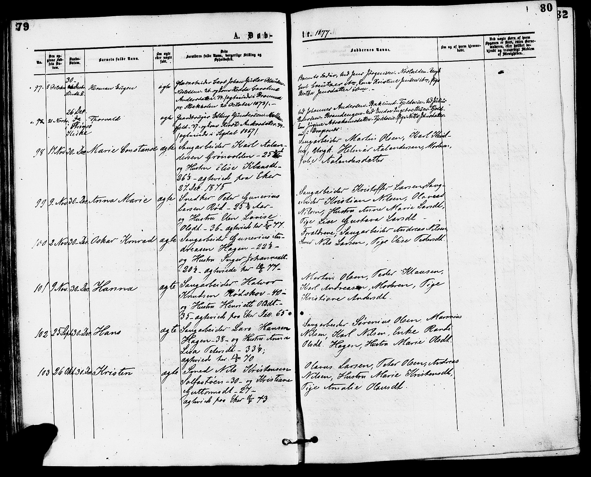 Skoger kirkebøker, AV/SAKO-A-59/F/Fa/L0005: Parish register (official) no. I 5, 1873-1884, p. 79-80