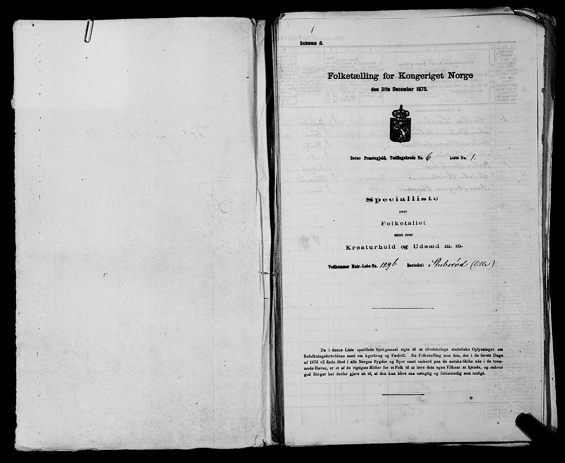 SAKO, 1875 census for 0715P Botne, 1875, p. 473