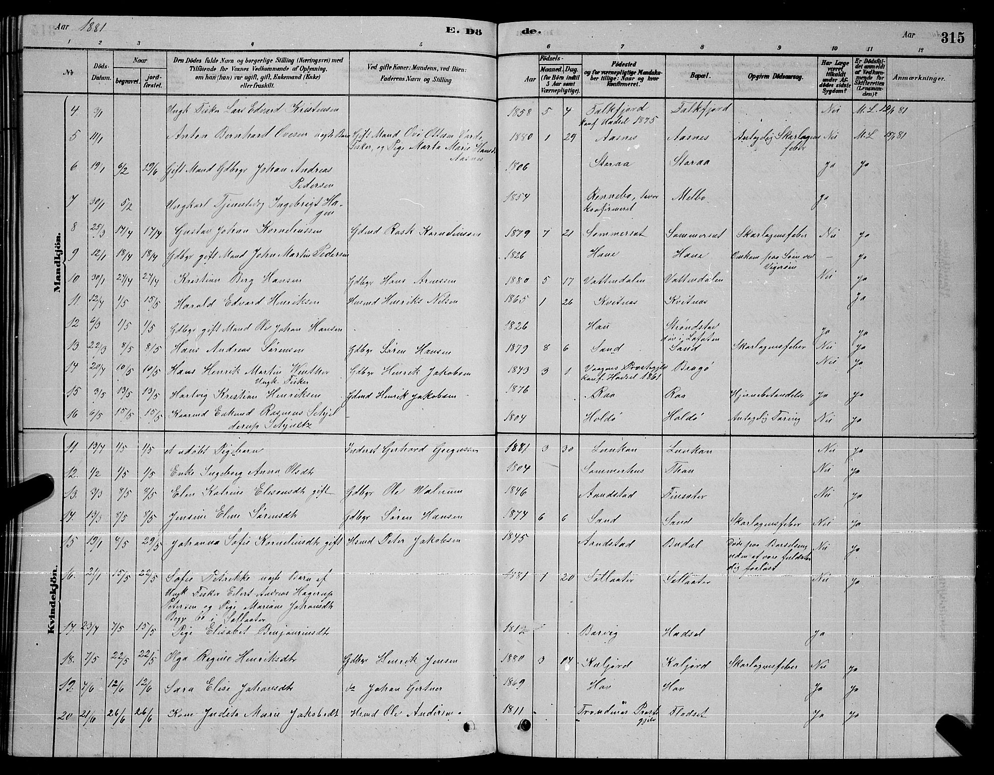 Ministerialprotokoller, klokkerbøker og fødselsregistre - Nordland, AV/SAT-A-1459/888/L1267: Parish register (copy) no. 888C05, 1878-1890, p. 315