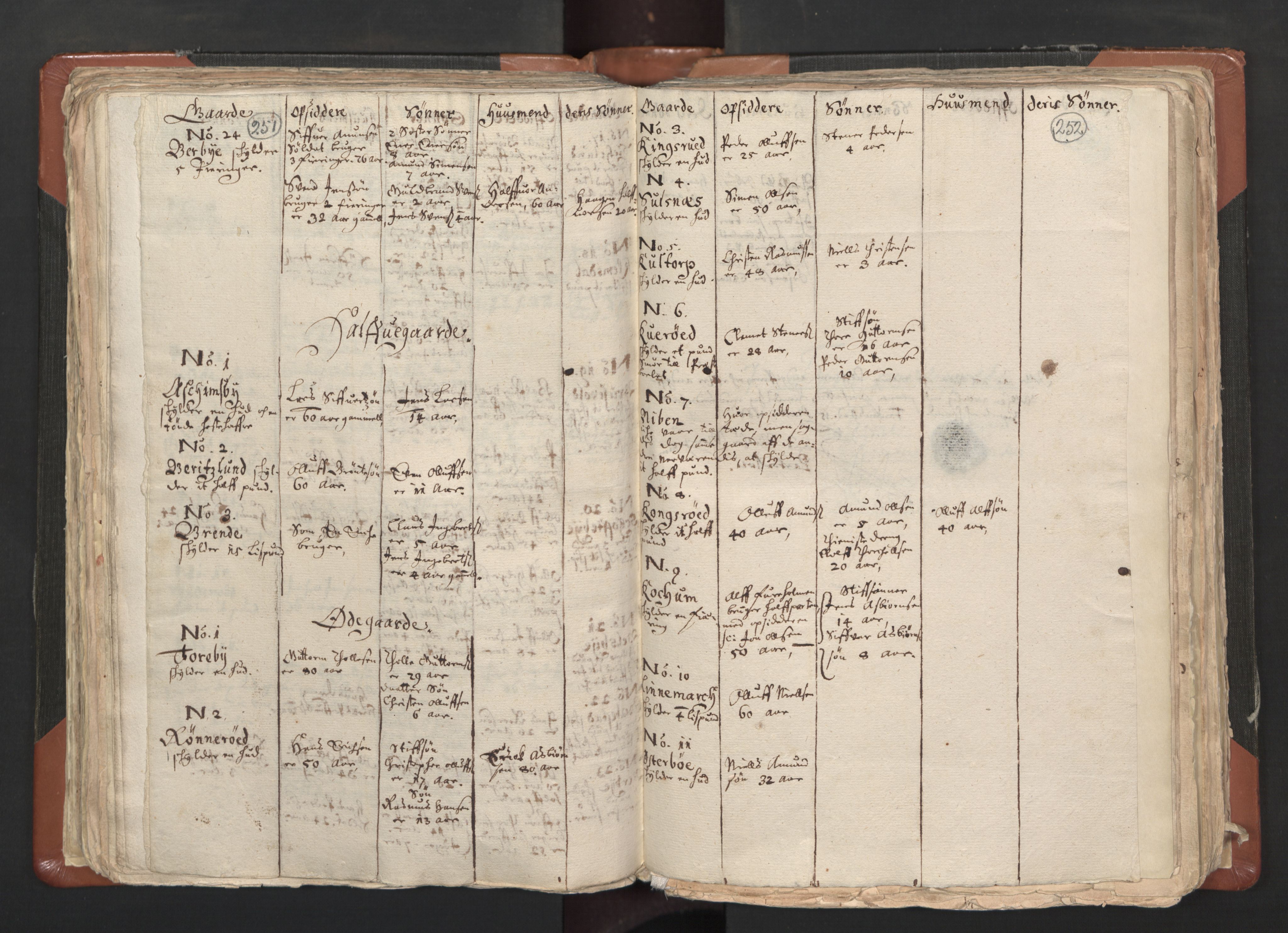 RA, Vicar's Census 1664-1666, no. 1: Nedre Borgesyssel deanery, 1664-1666, p. 251-252