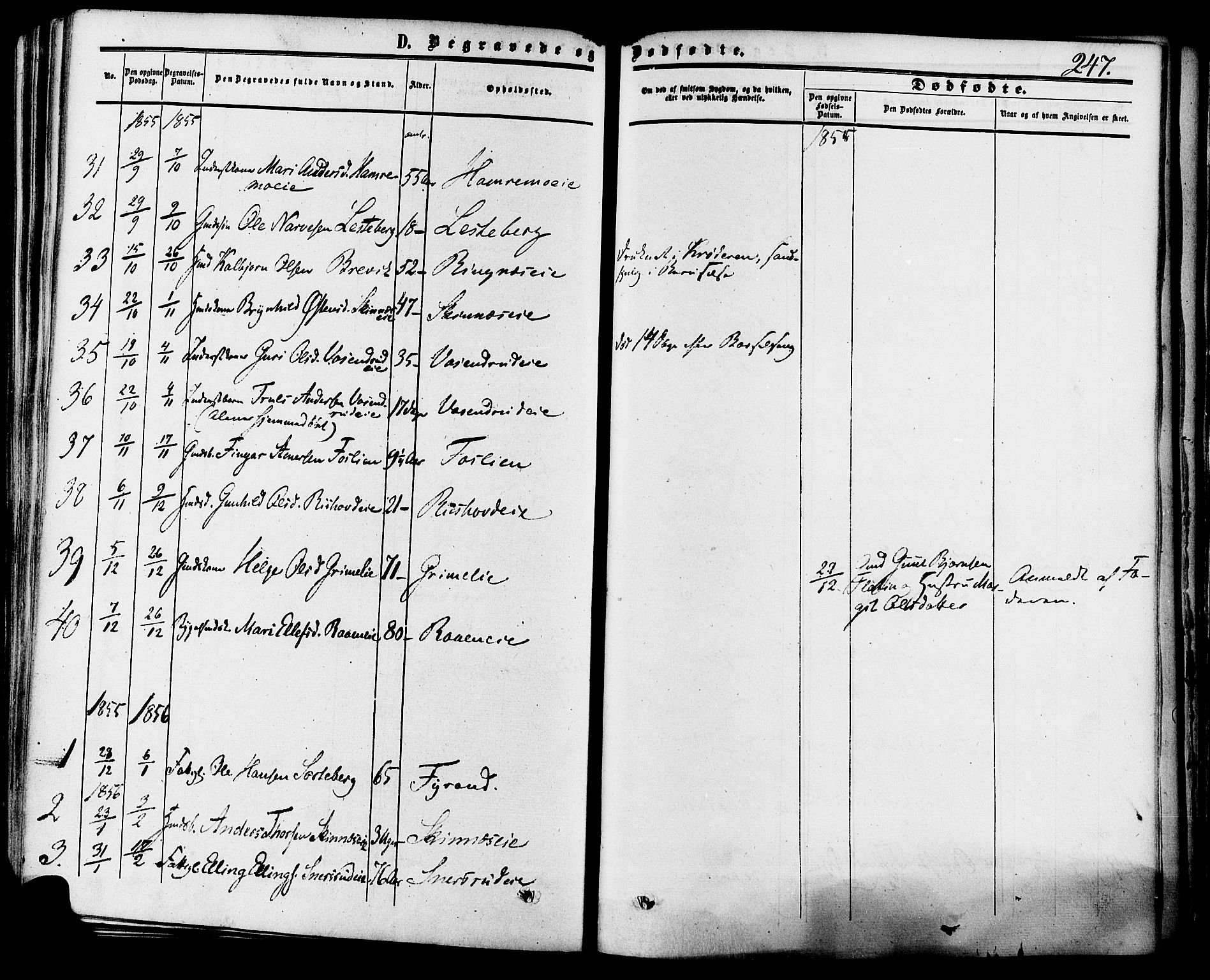 Krødsherad kirkebøker, SAKO/A-19/F/Fa/L0003: Parish register (official) no. 3, 1851-1872, p. 247