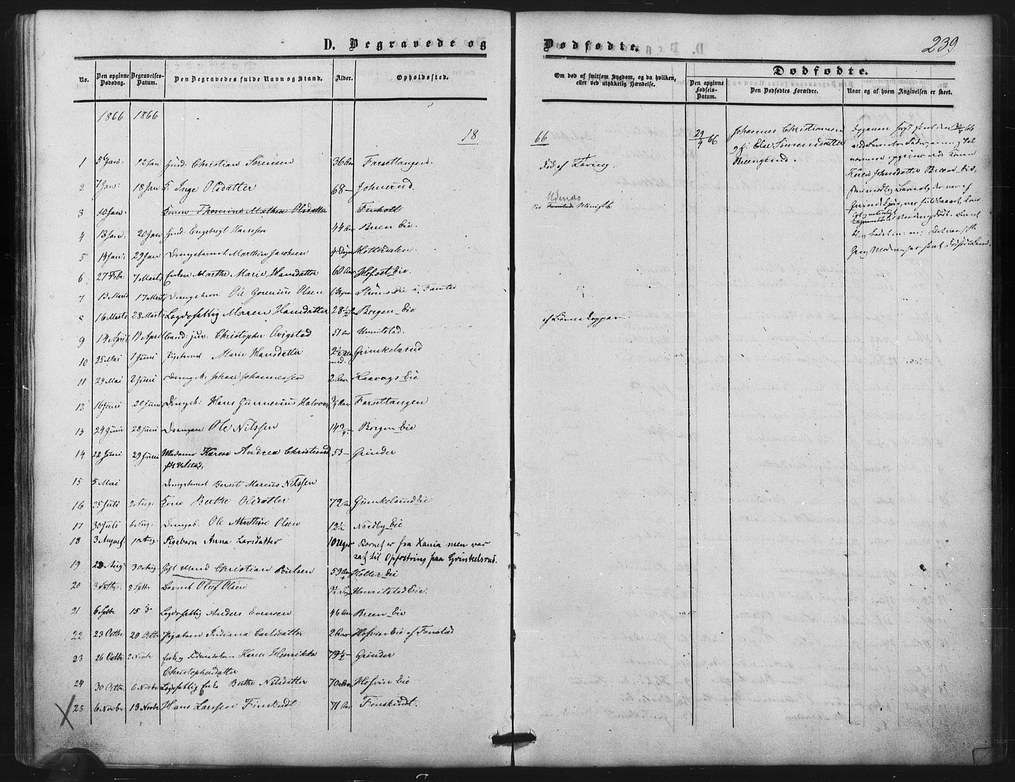 Nes prestekontor Kirkebøker, SAO/A-10410/F/Fb/L0001: Parish register (official) no. II 1, 1859-1882, p. 239