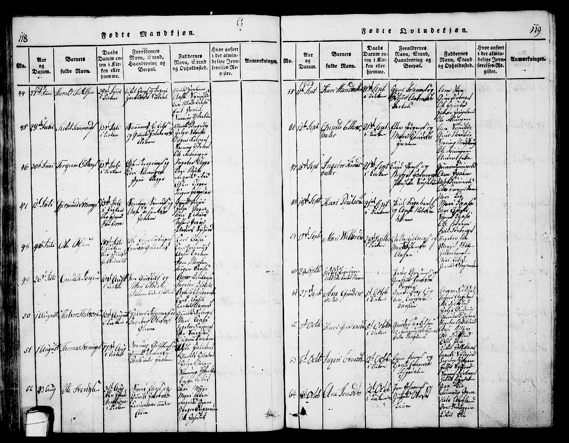 Bø kirkebøker, AV/SAKO-A-257/G/Ga/L0001: Parish register (copy) no. 1, 1815-1831, p. 118-119