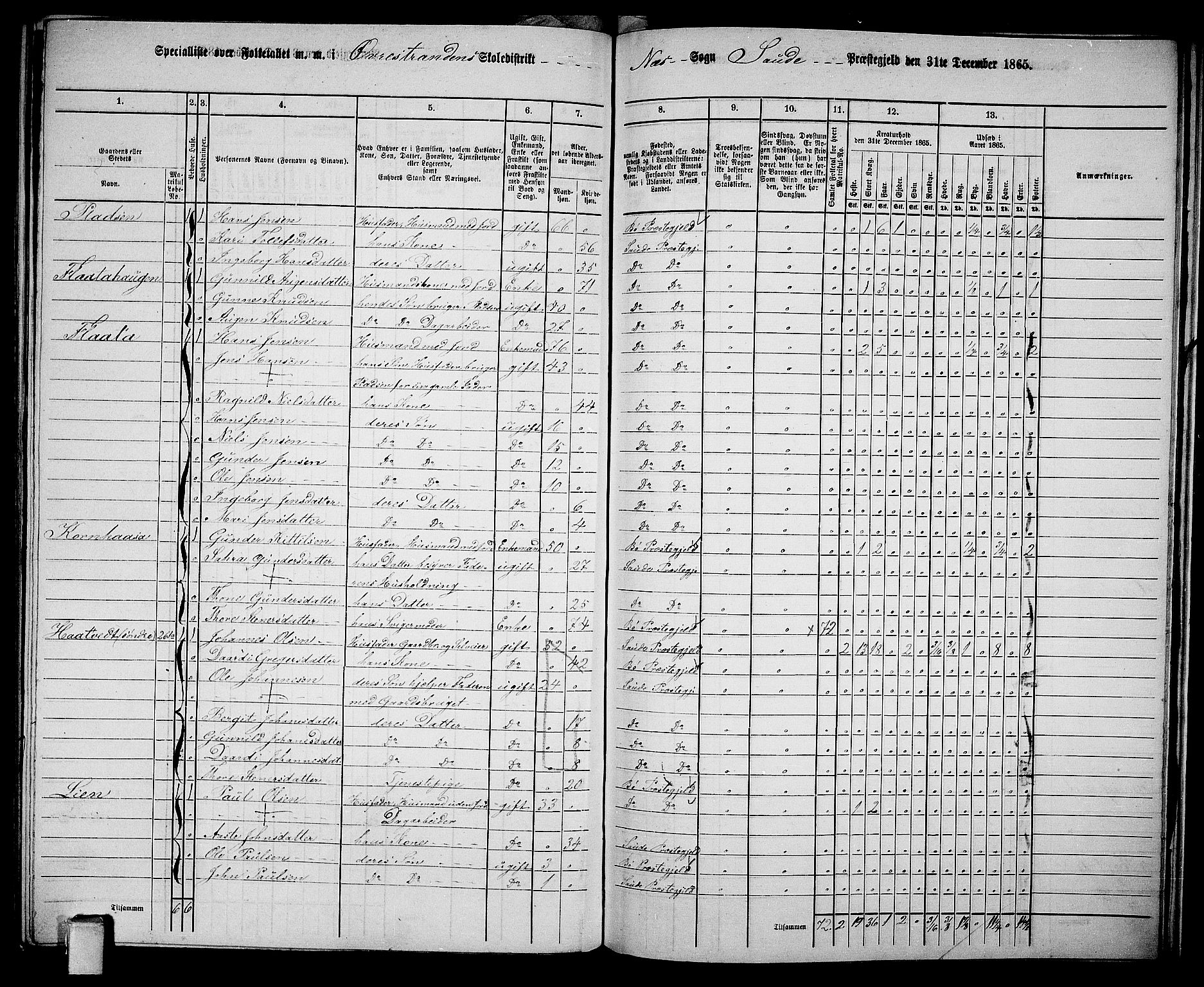 RA, 1865 census for Sauherad, 1865, p. 155