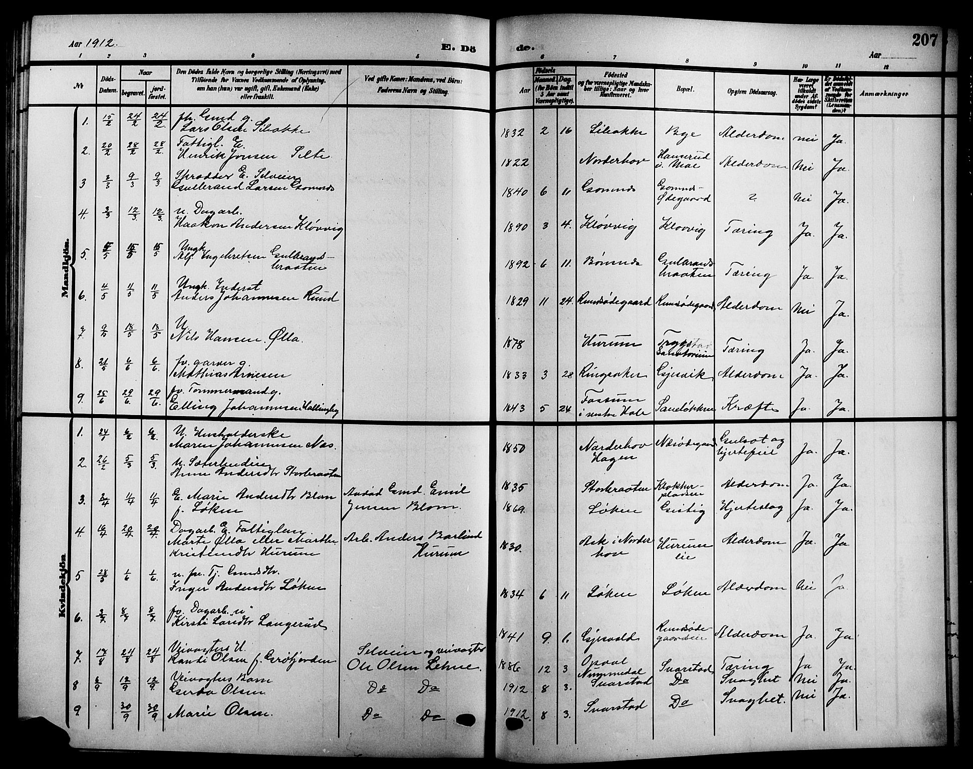 Hole kirkebøker, SAKO/A-228/G/Ga/L0004: Parish register (copy) no. I 4, 1905-1924, p. 207