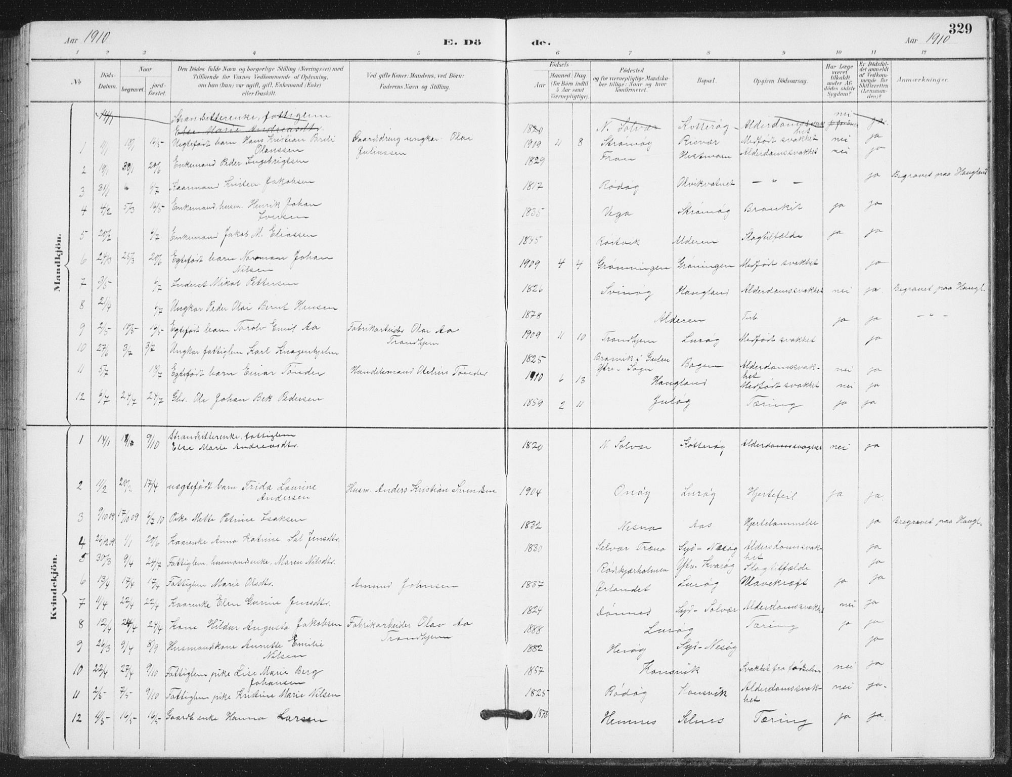 Ministerialprotokoller, klokkerbøker og fødselsregistre - Nordland, SAT/A-1459/839/L0573: Parish register (copy) no. 839C03, 1892-1917, p. 329
