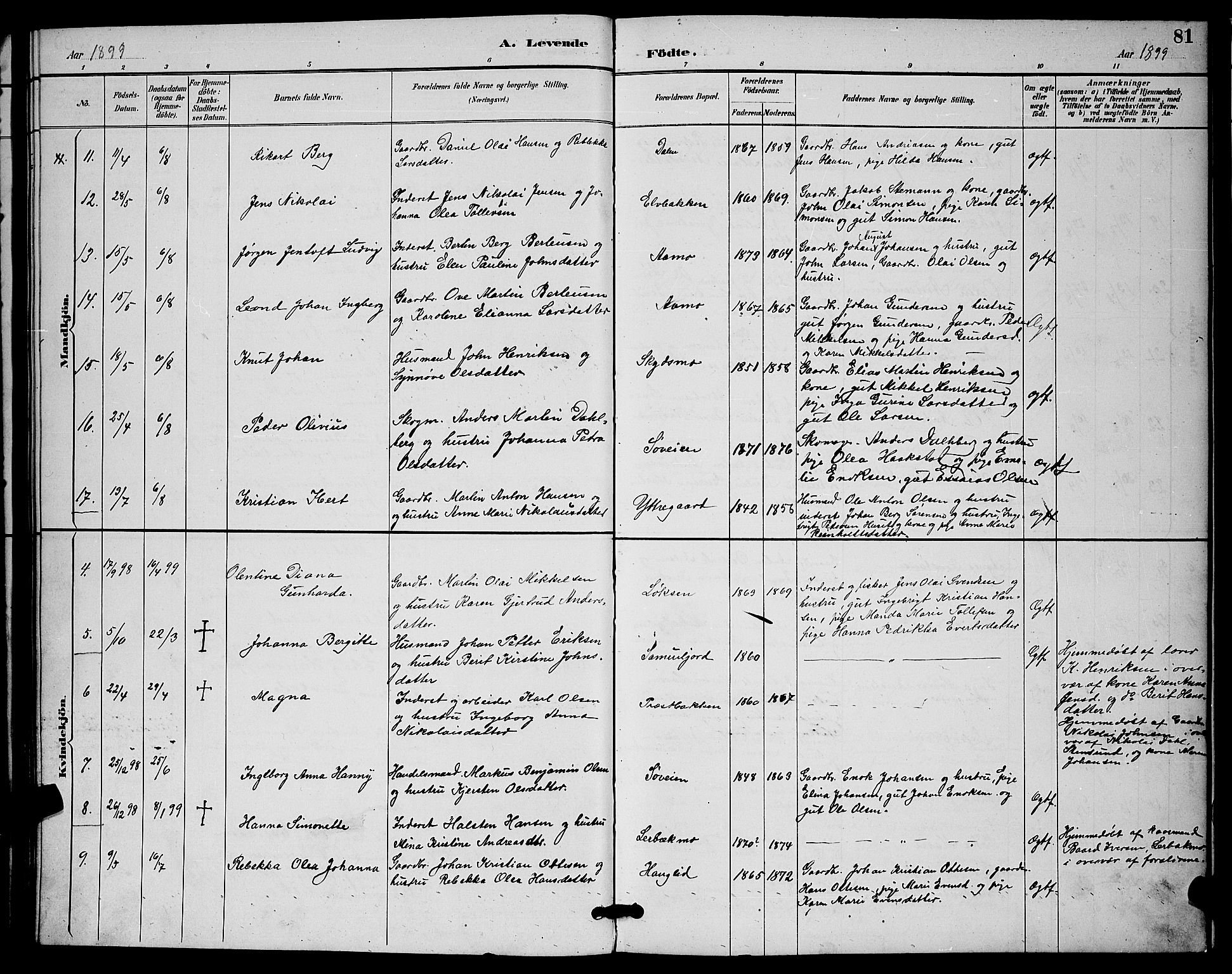 Ibestad sokneprestembete, AV/SATØ-S-0077/H/Ha/Hab/L0015klokker: Parish register (copy) no. 15, 1888-1899, p. 81