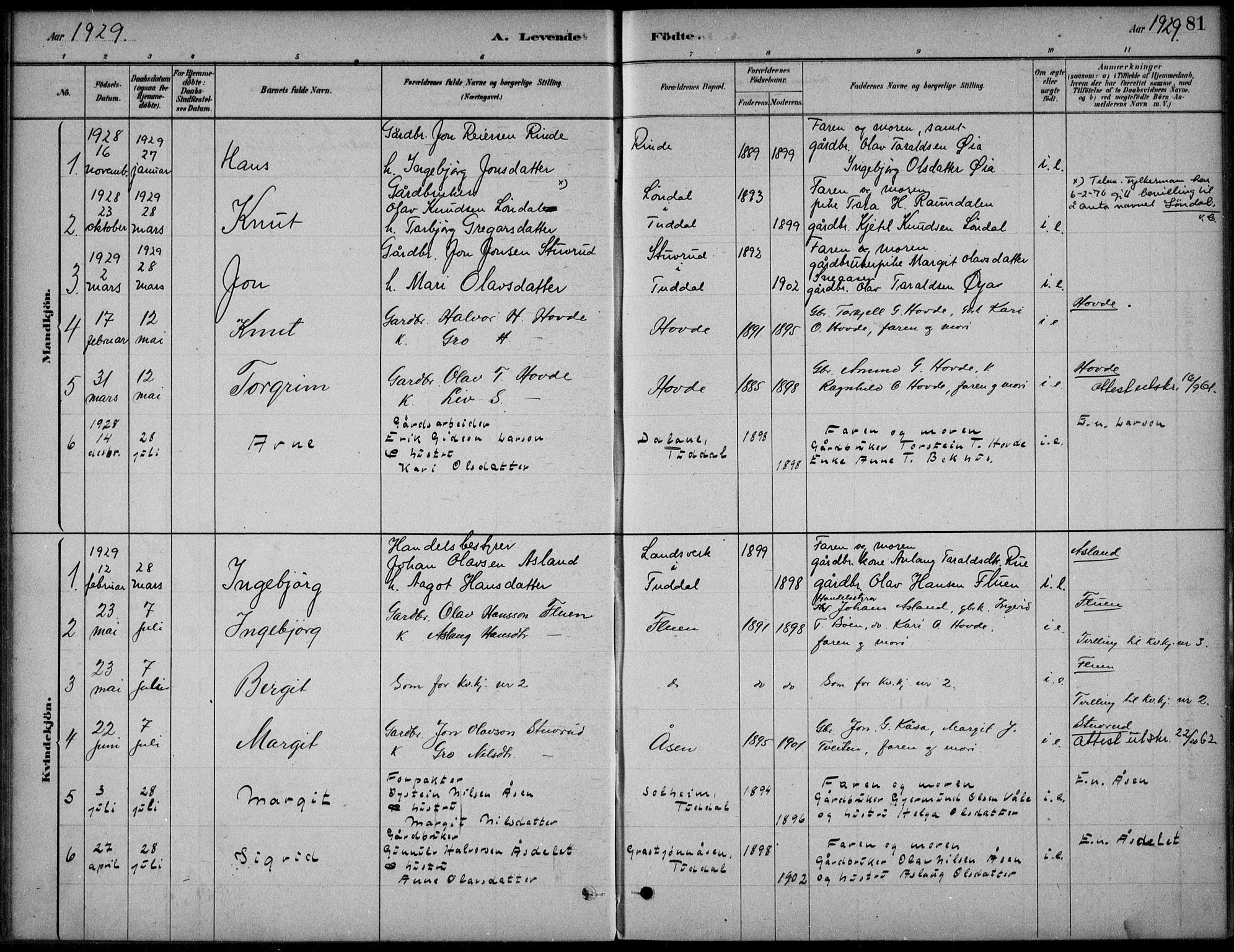 Hjartdal kirkebøker, SAKO/A-270/F/Fc/L0002: Parish register (official) no. III 2, 1880-1936, p. 81