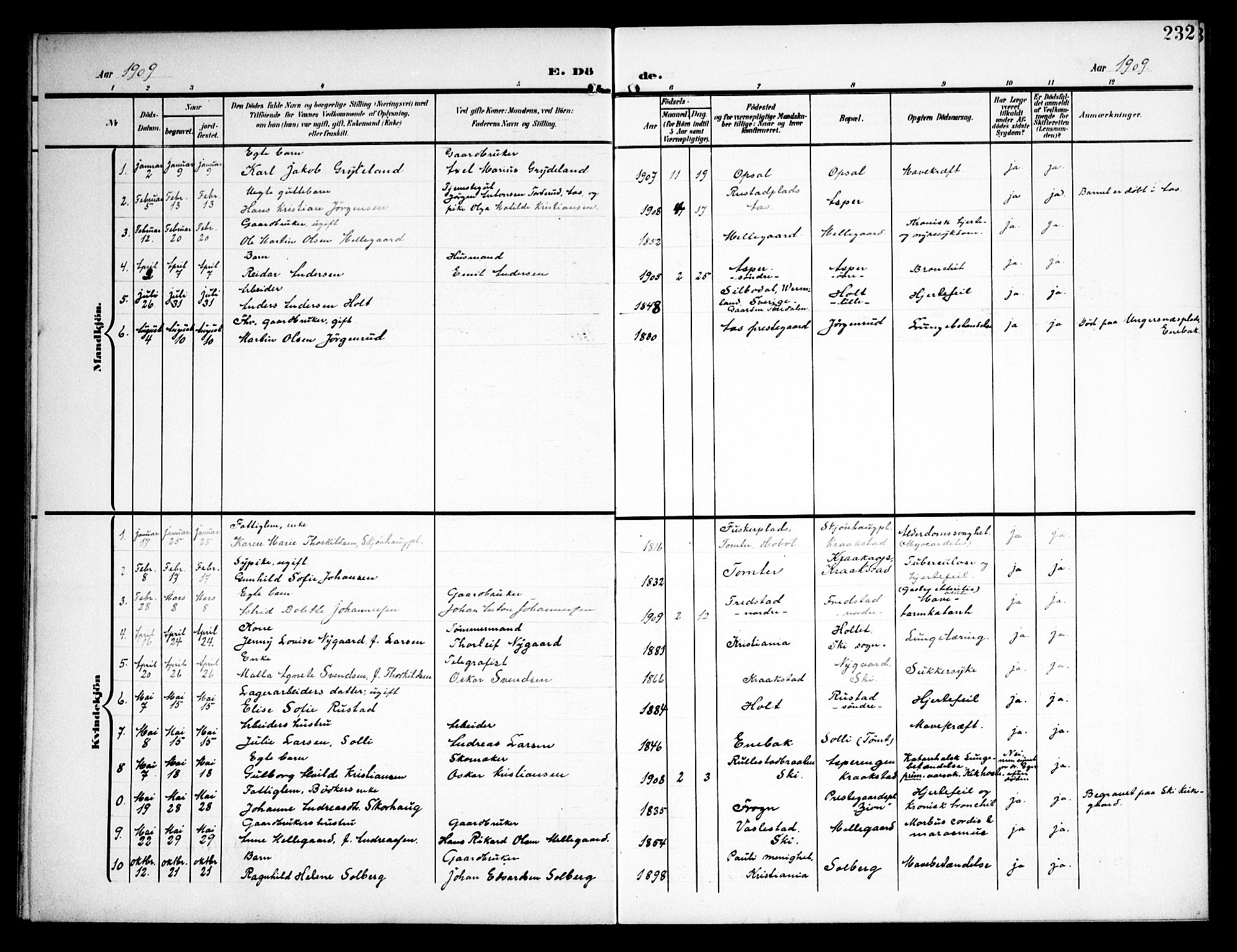 Kråkstad prestekontor Kirkebøker, AV/SAO-A-10125a/G/Ga/L0002: Parish register (copy) no. I 2, 1905-1934, p. 232