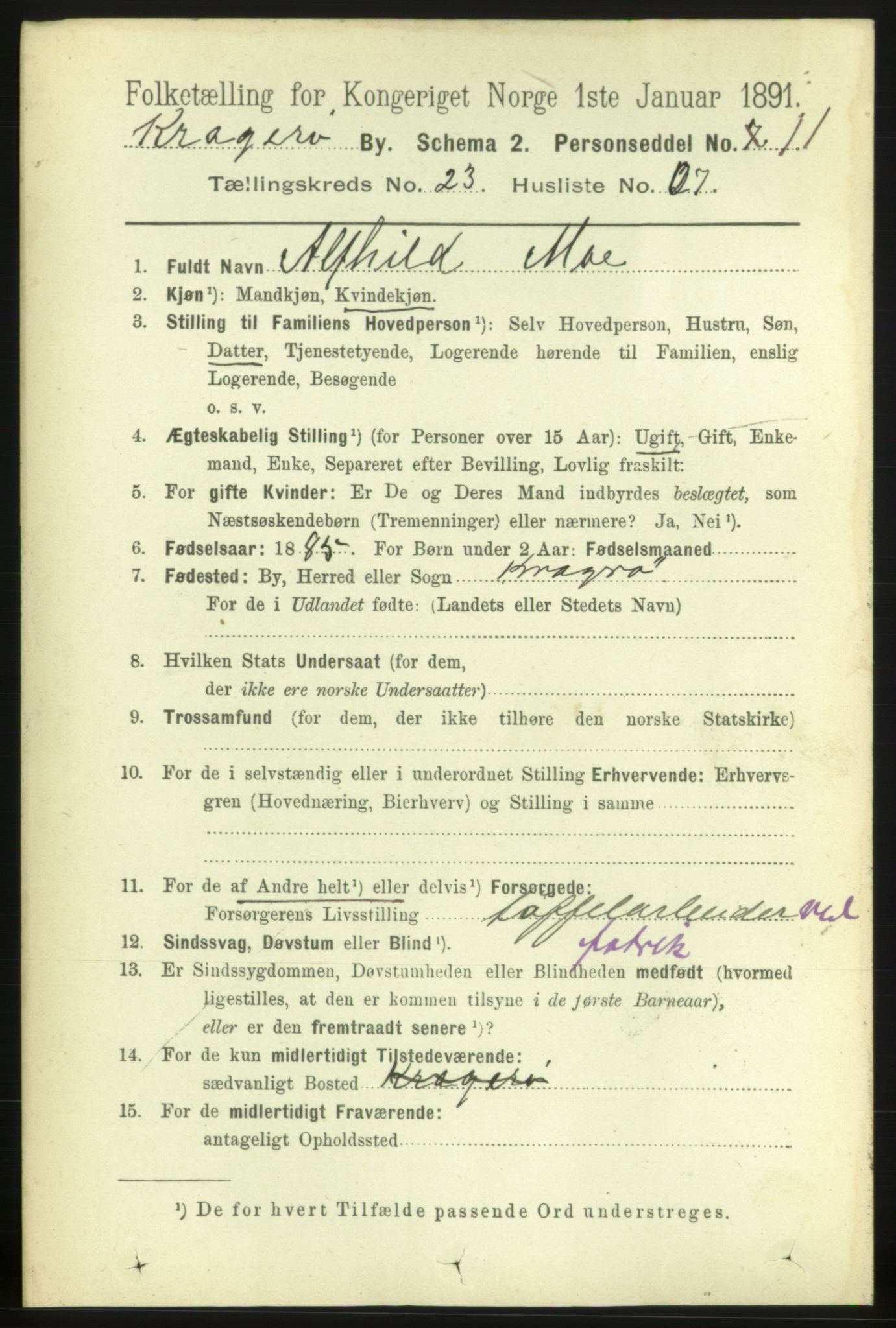 RA, 1891 census for 0801 Kragerø, 1891, p. 4972