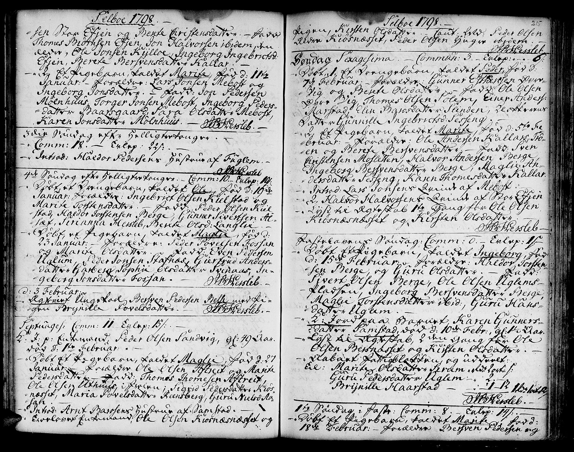 Ministerialprotokoller, klokkerbøker og fødselsregistre - Sør-Trøndelag, SAT/A-1456/695/L1138: Parish register (official) no. 695A02 /1, 1757-1801, p. 215