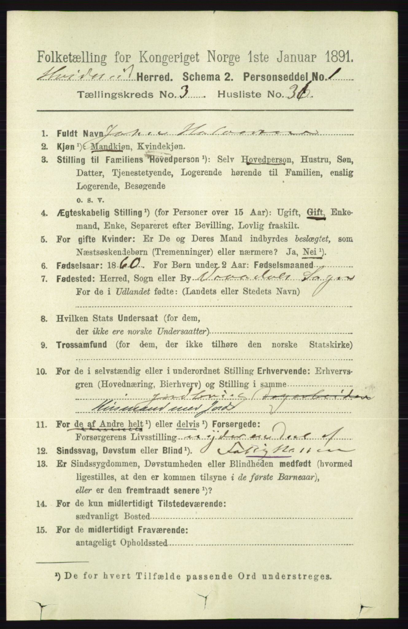 RA, 1891 census for 0829 Kviteseid, 1891, p. 699