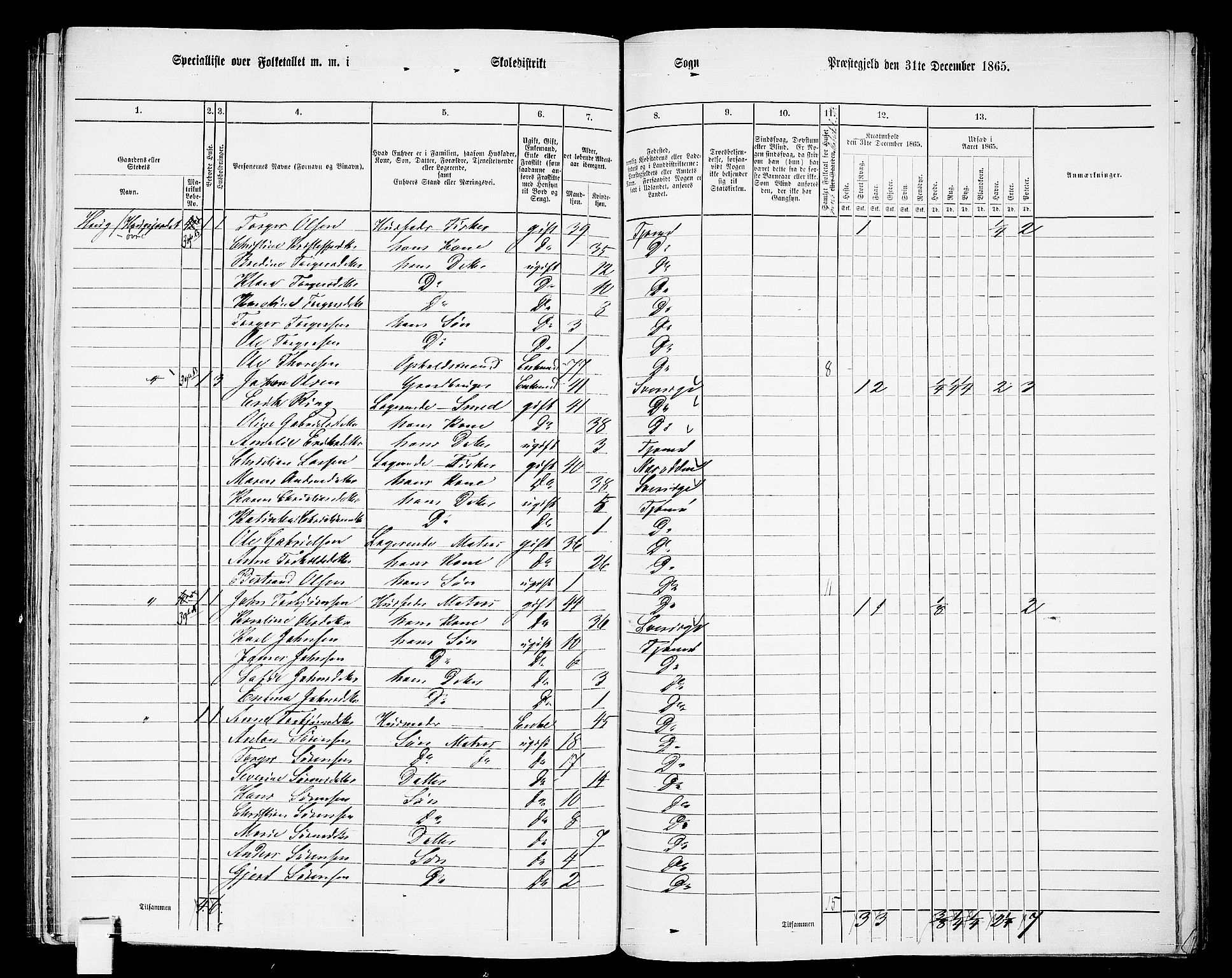 RA, 1865 census for Nøtterøy, 1865, p. 245