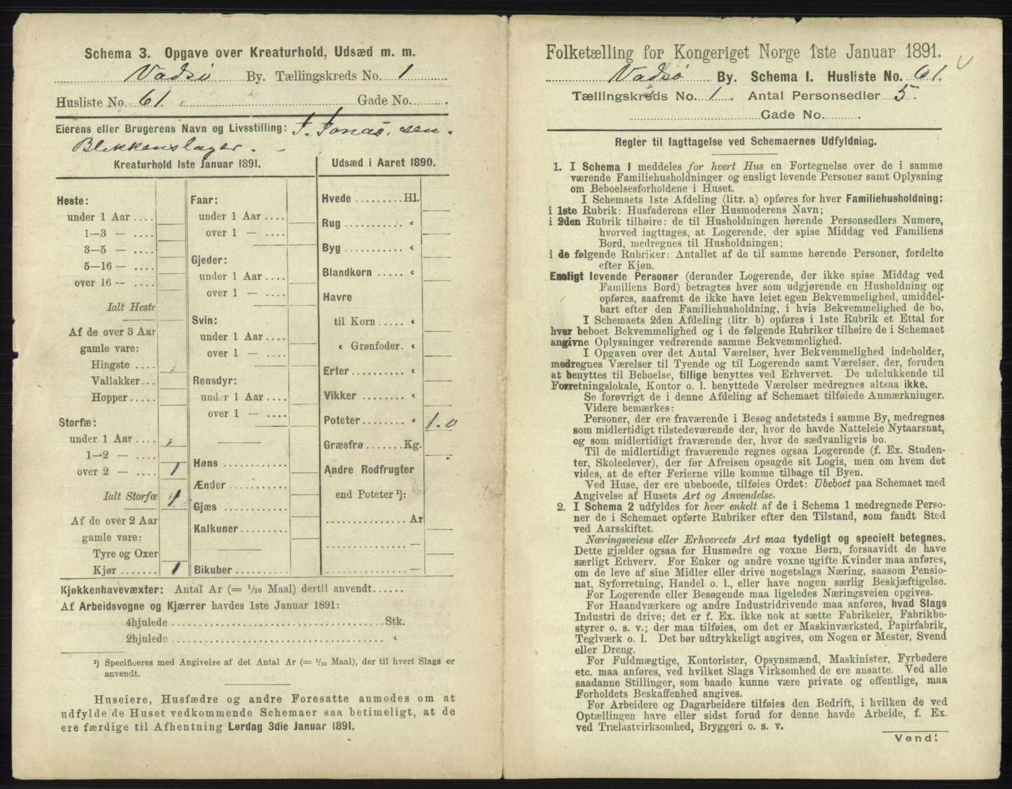 RA, 1891 census for 2003 Vadsø, 1891, p. 154