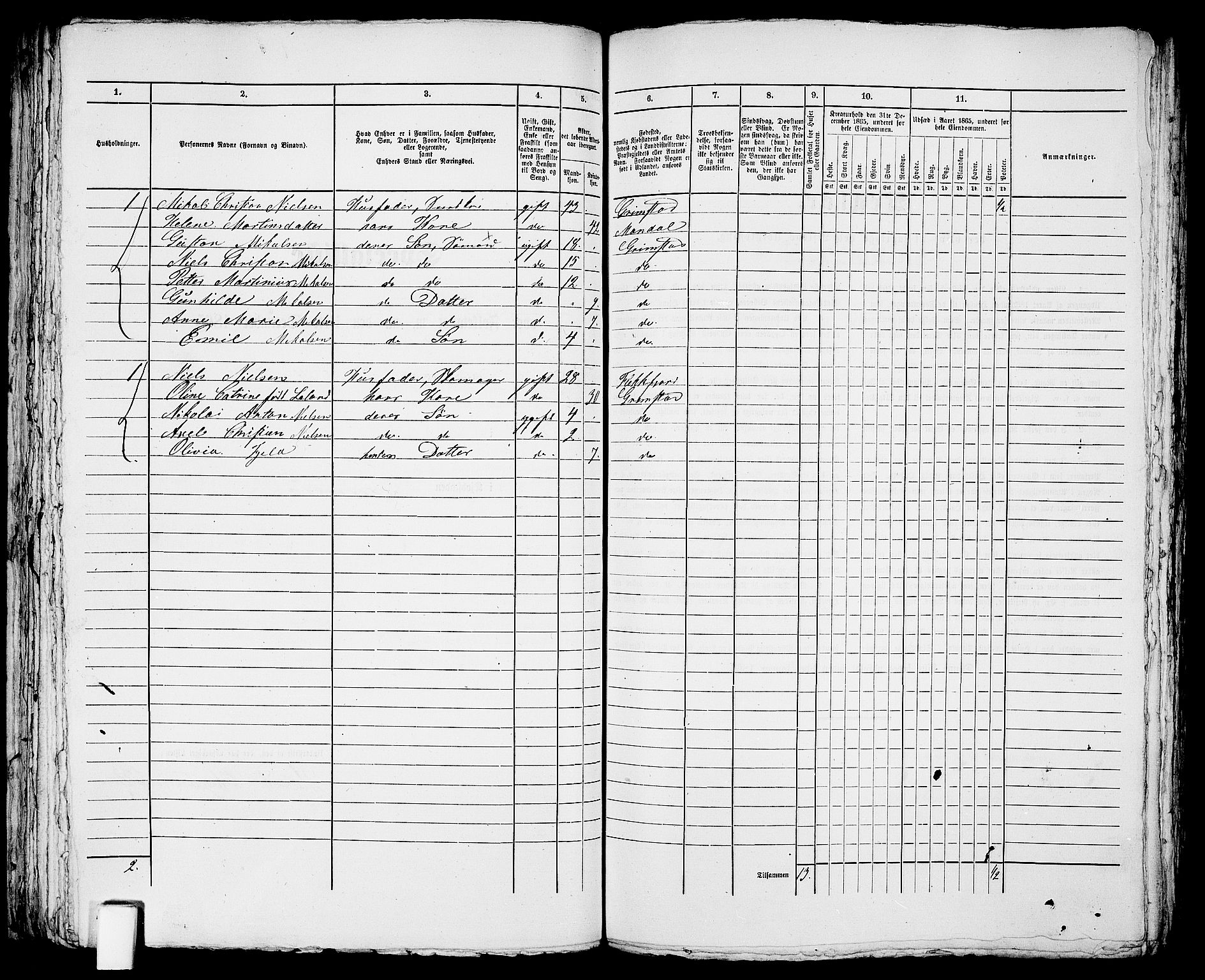 RA, 1865 census for Fjære/Grimstad, 1865, p. 198