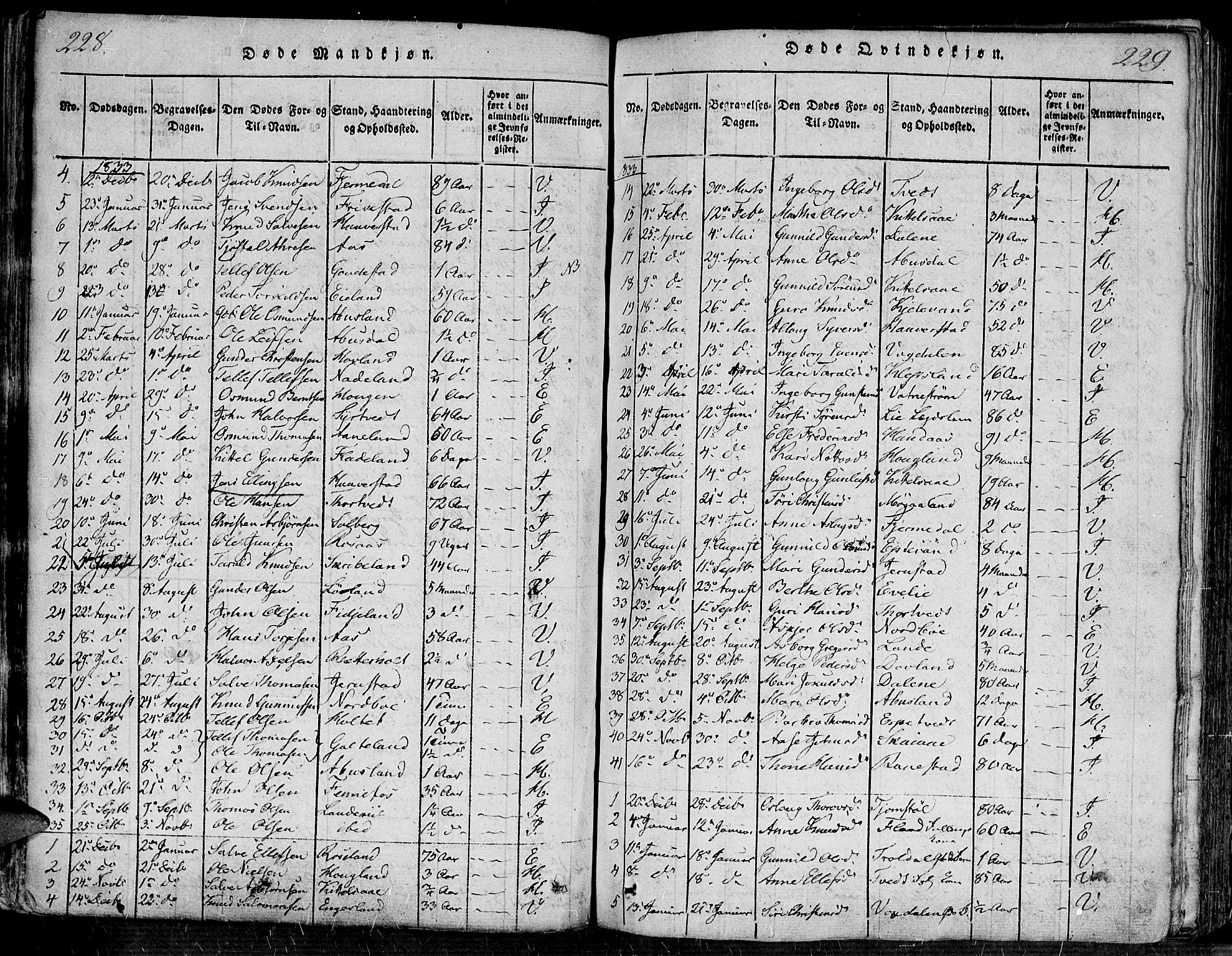 Evje sokneprestkontor, SAK/1111-0008/F/Fa/Faa/L0004: Parish register (official) no. A 4, 1816-1840, p. 228-229
