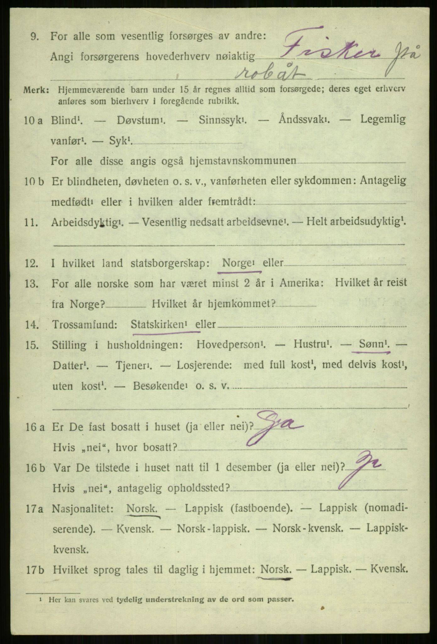 SATØ, 1920 census for Hillesøy, 1920, p. 3942