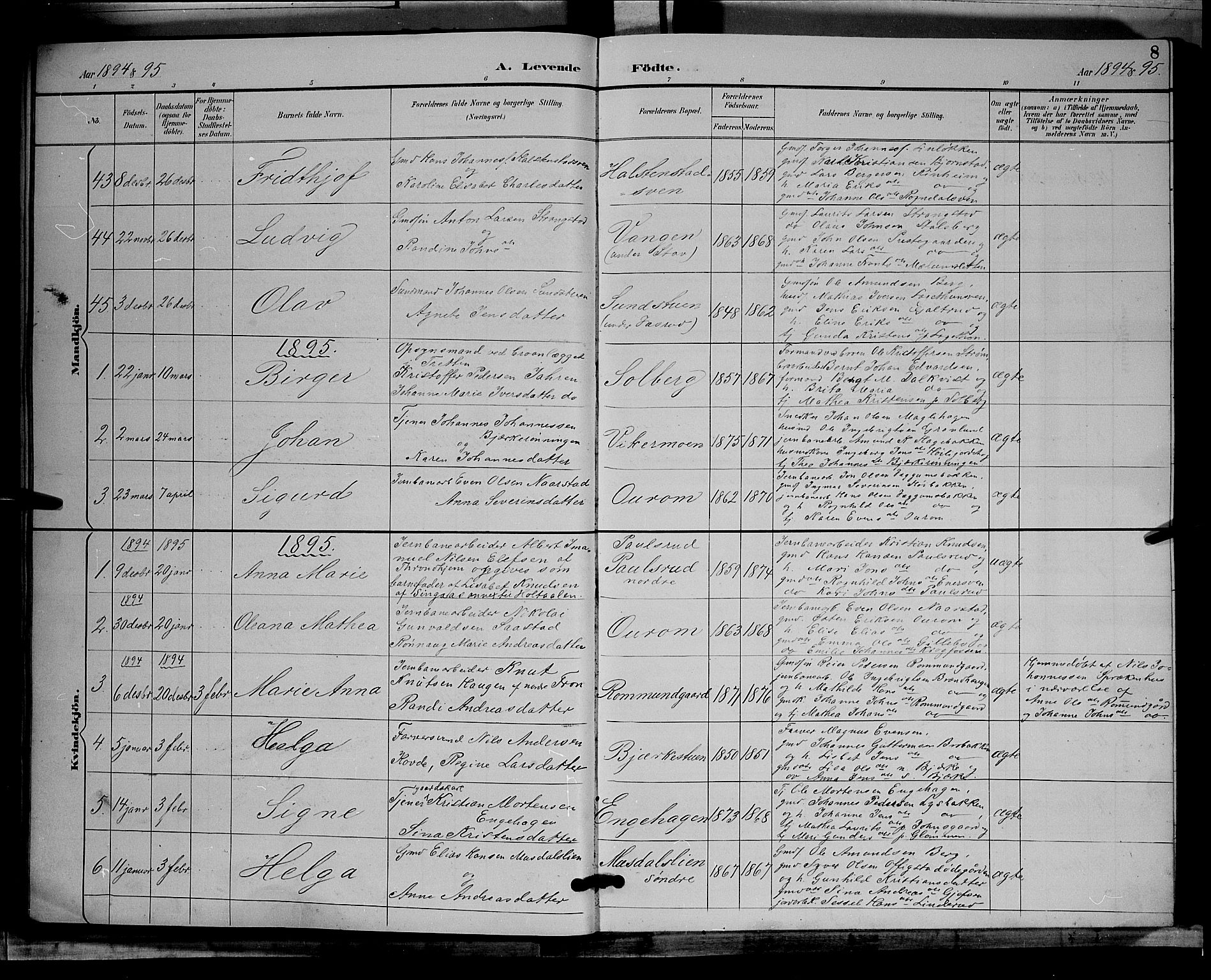 Øyer prestekontor, SAH/PREST-084/H/Ha/Hab/L0004: Parish register (copy) no. 4, 1894-1905, p. 8