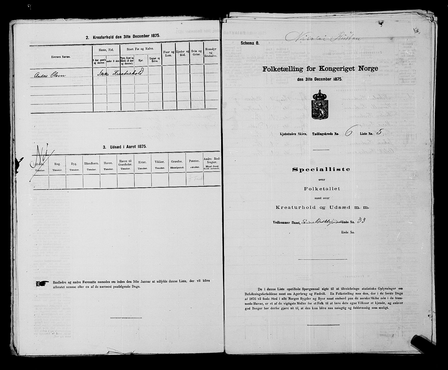 SAKO, 1875 census for 0806P Skien, 1875, p. 973